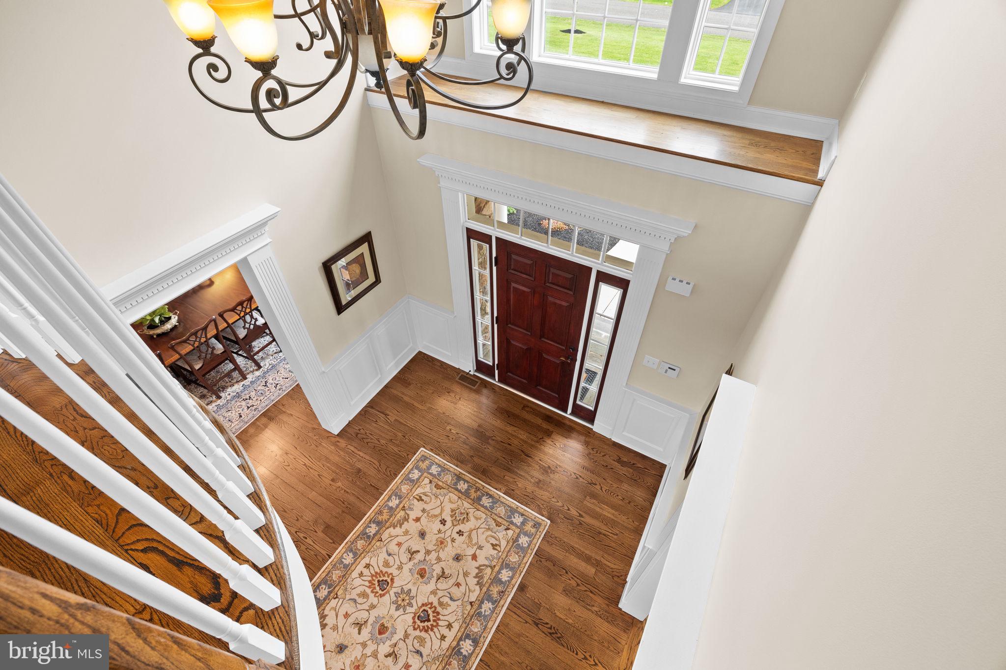 BELAMOUR - Residential