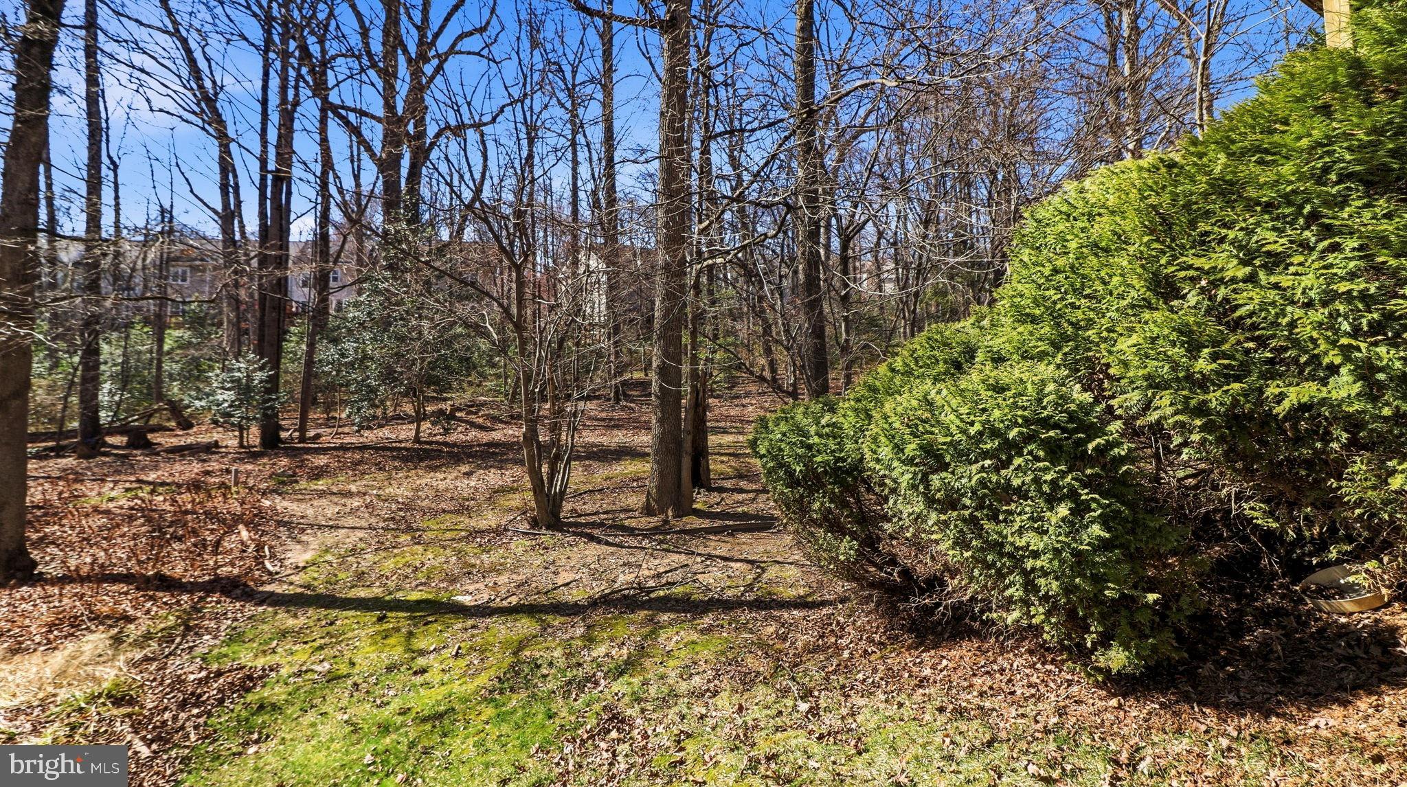 WESCOTT WOODS - Residential