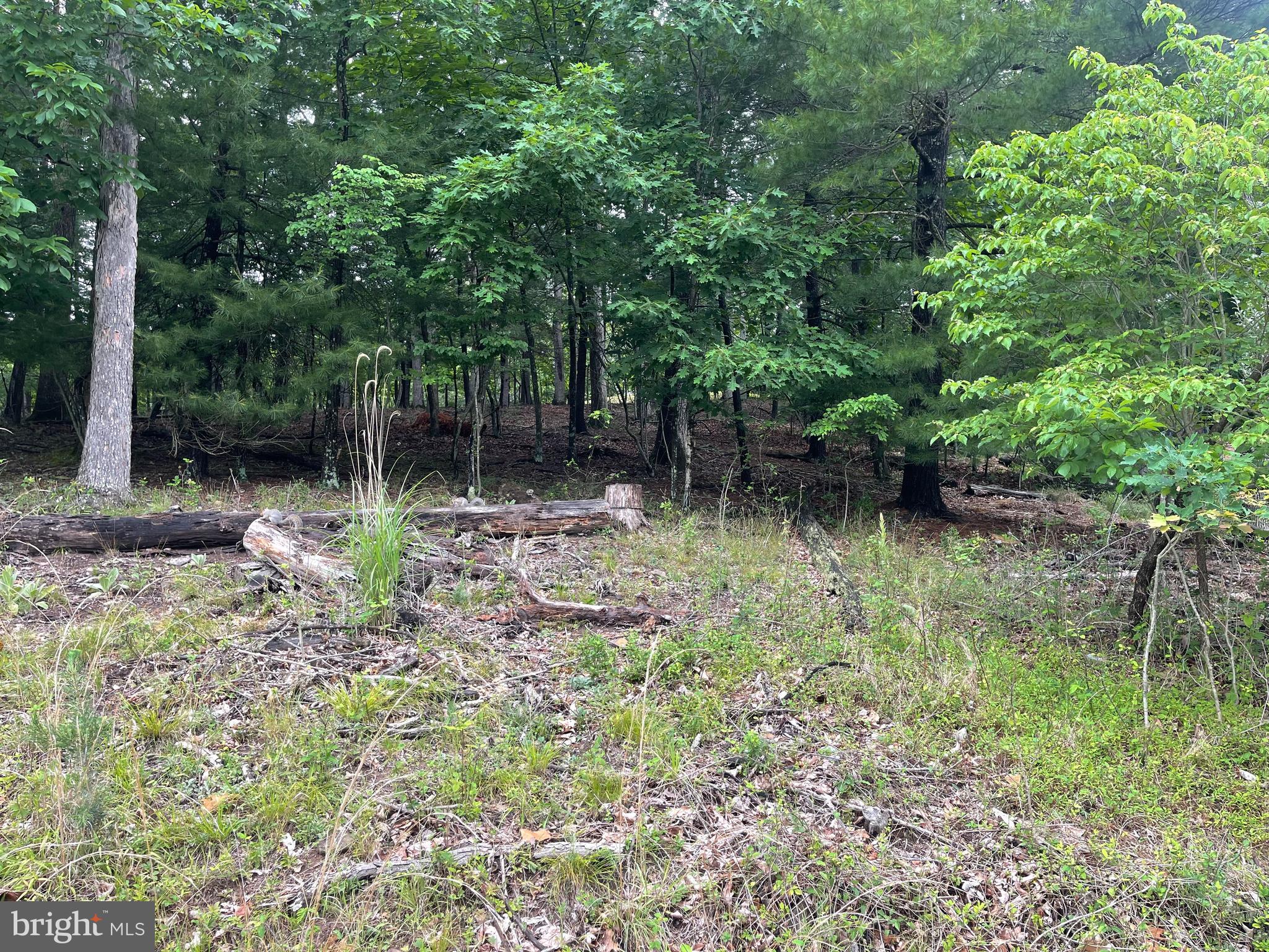 LAKE HOLIDAY ESTATES - Land