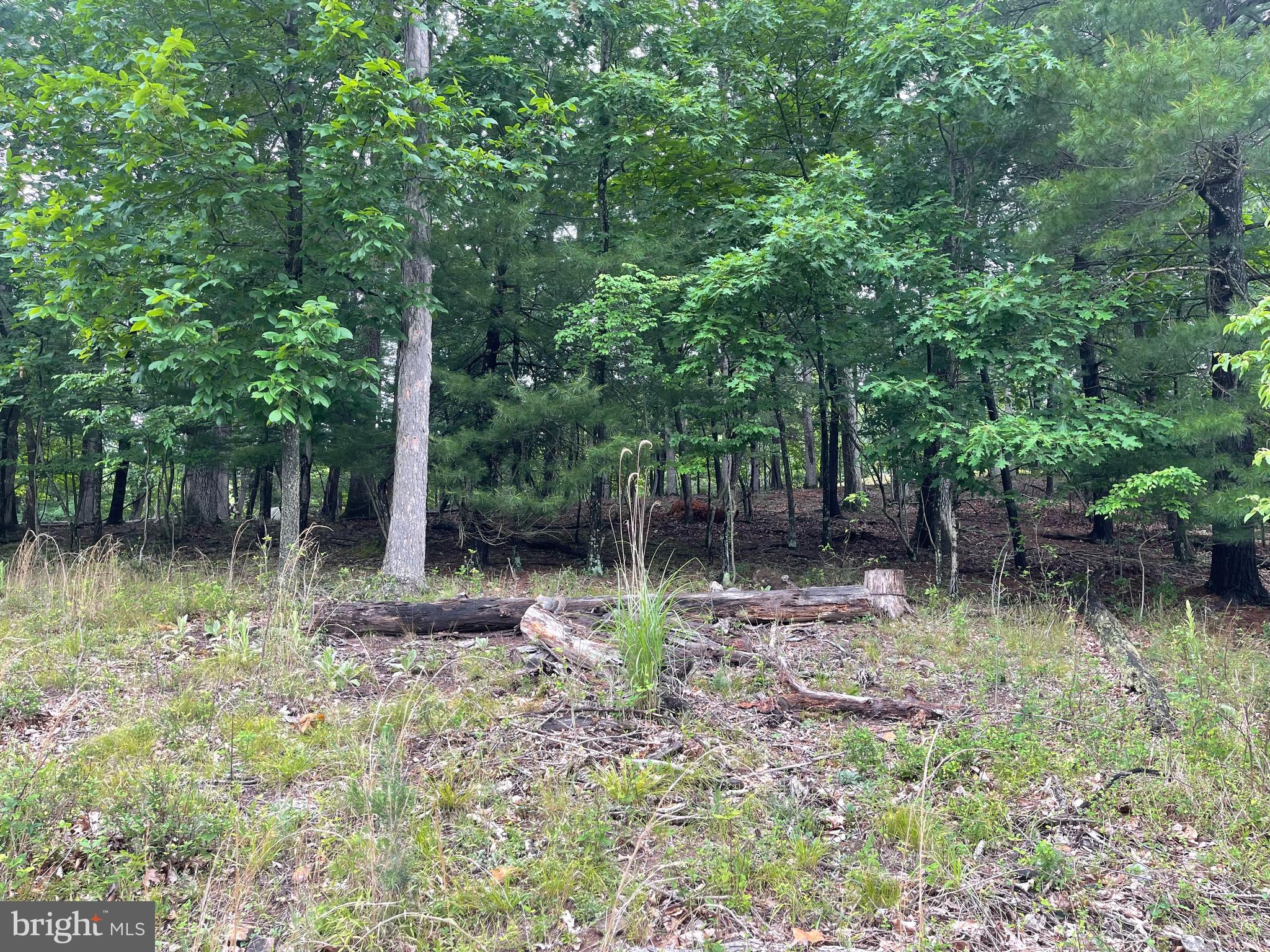 LAKE HOLIDAY ESTATES - Land