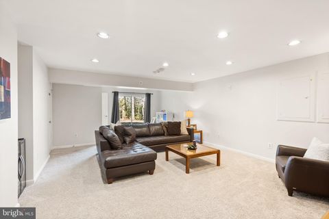 listing image 53