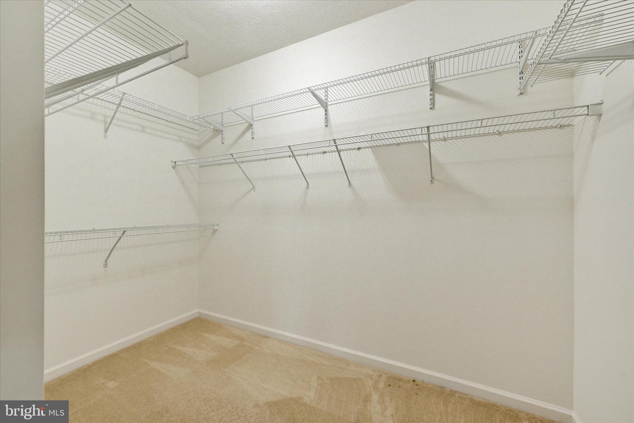 WINDSOR AT PERRY HALL FARMS - Residential