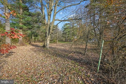 Vacant Land For Sale - Laurel Road<br/> ORWIGSBURG, PA 17961