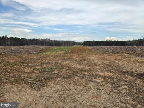 Vacant Land For Sale - 83.84 AC S James River Road<br/> Buckingham County, BUCKINGHAM, VA 23921
