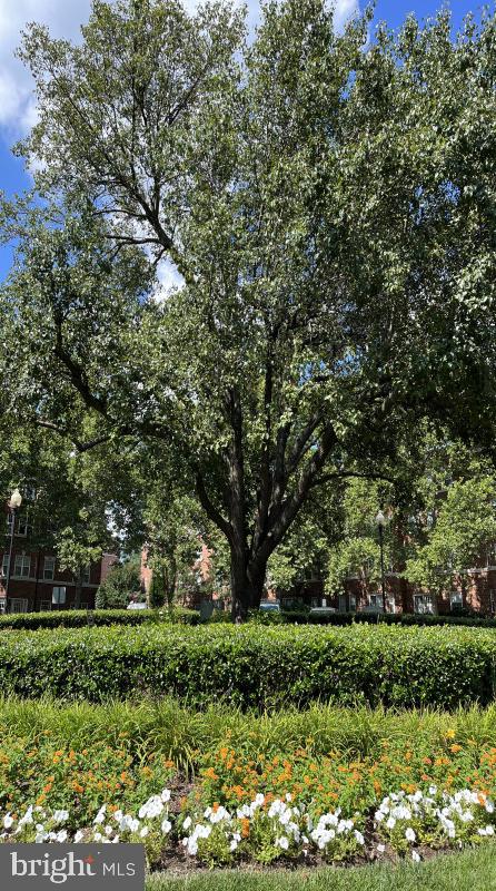 CATHEDRAL HEIGHTS - Residential Lease