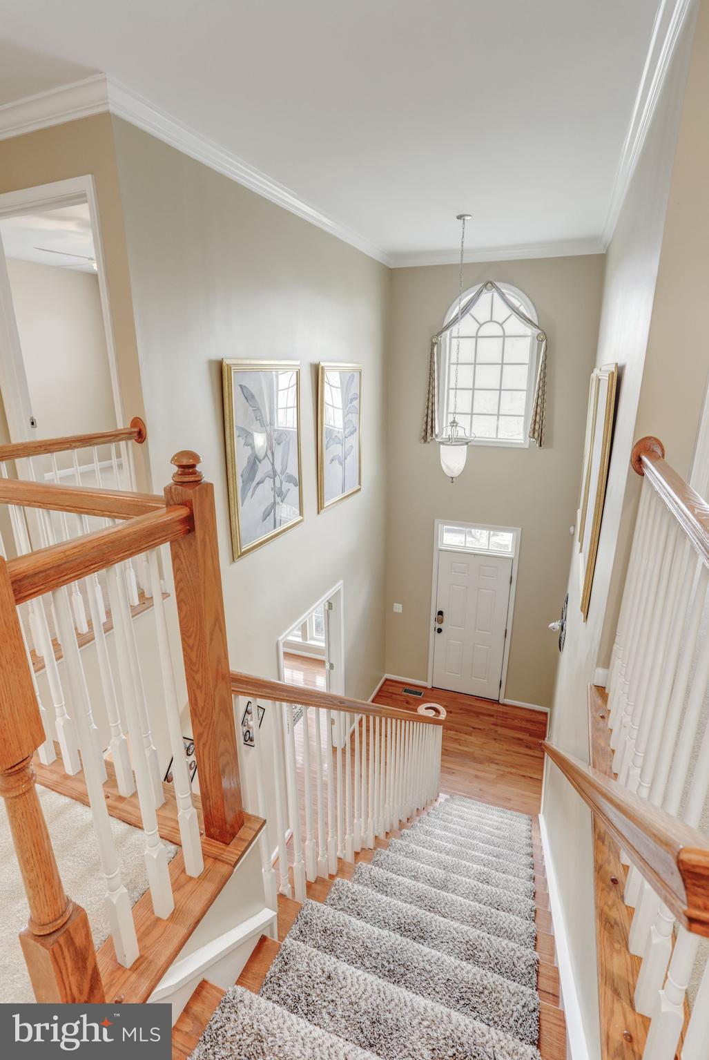 NEW TOWN MEADOWS - Residential