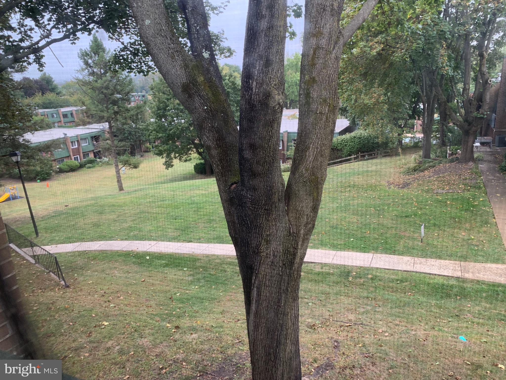 THE MEADOWS - Residential Lease