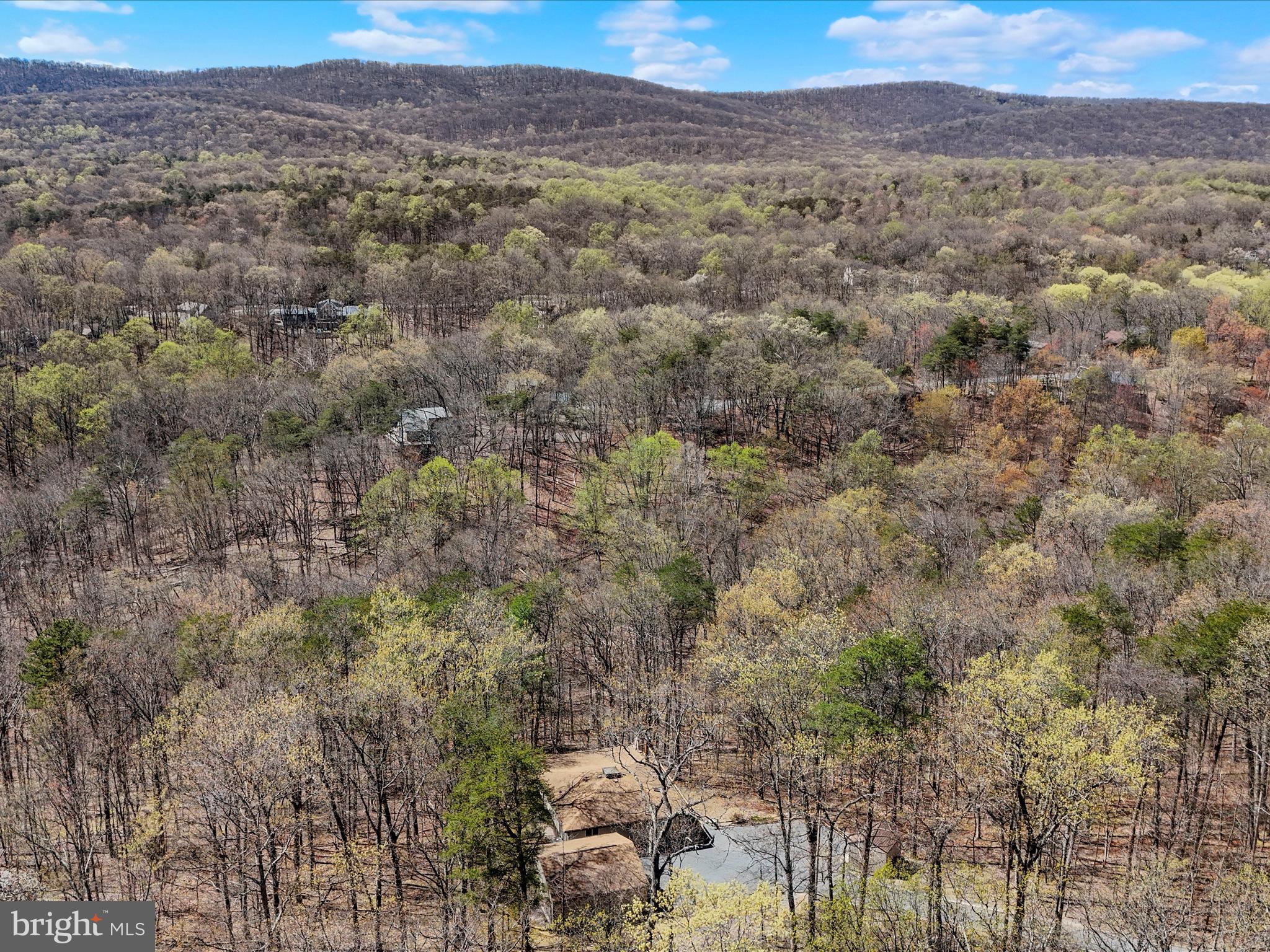 THE WOODS - Residential