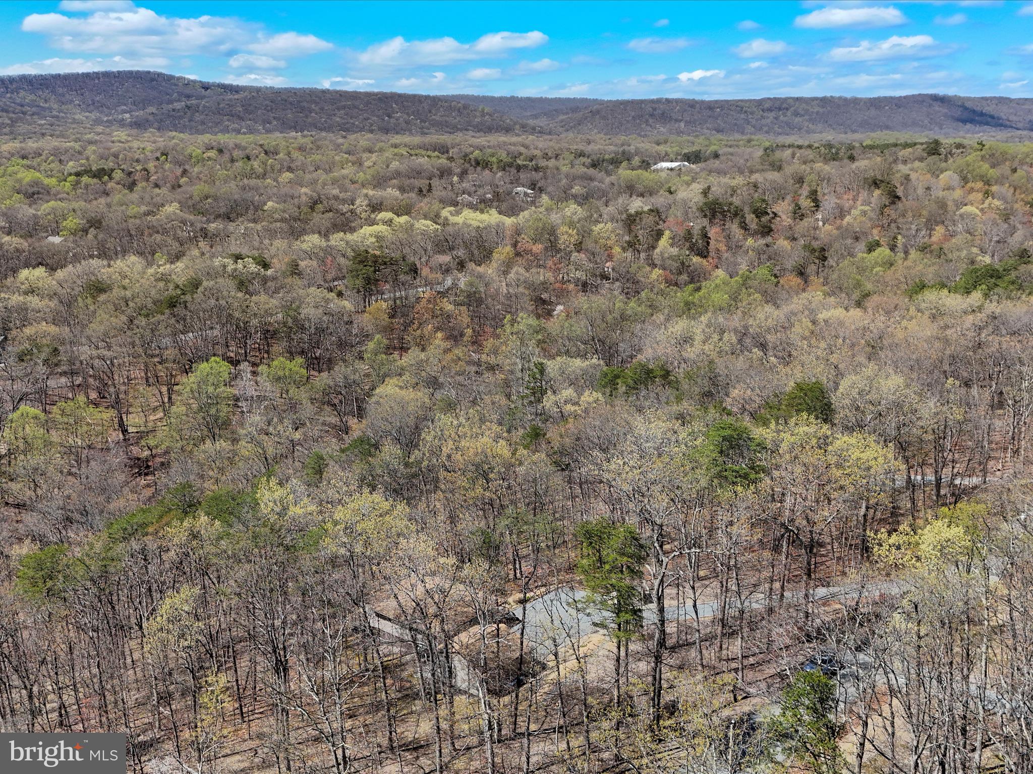 THE WOODS - Residential