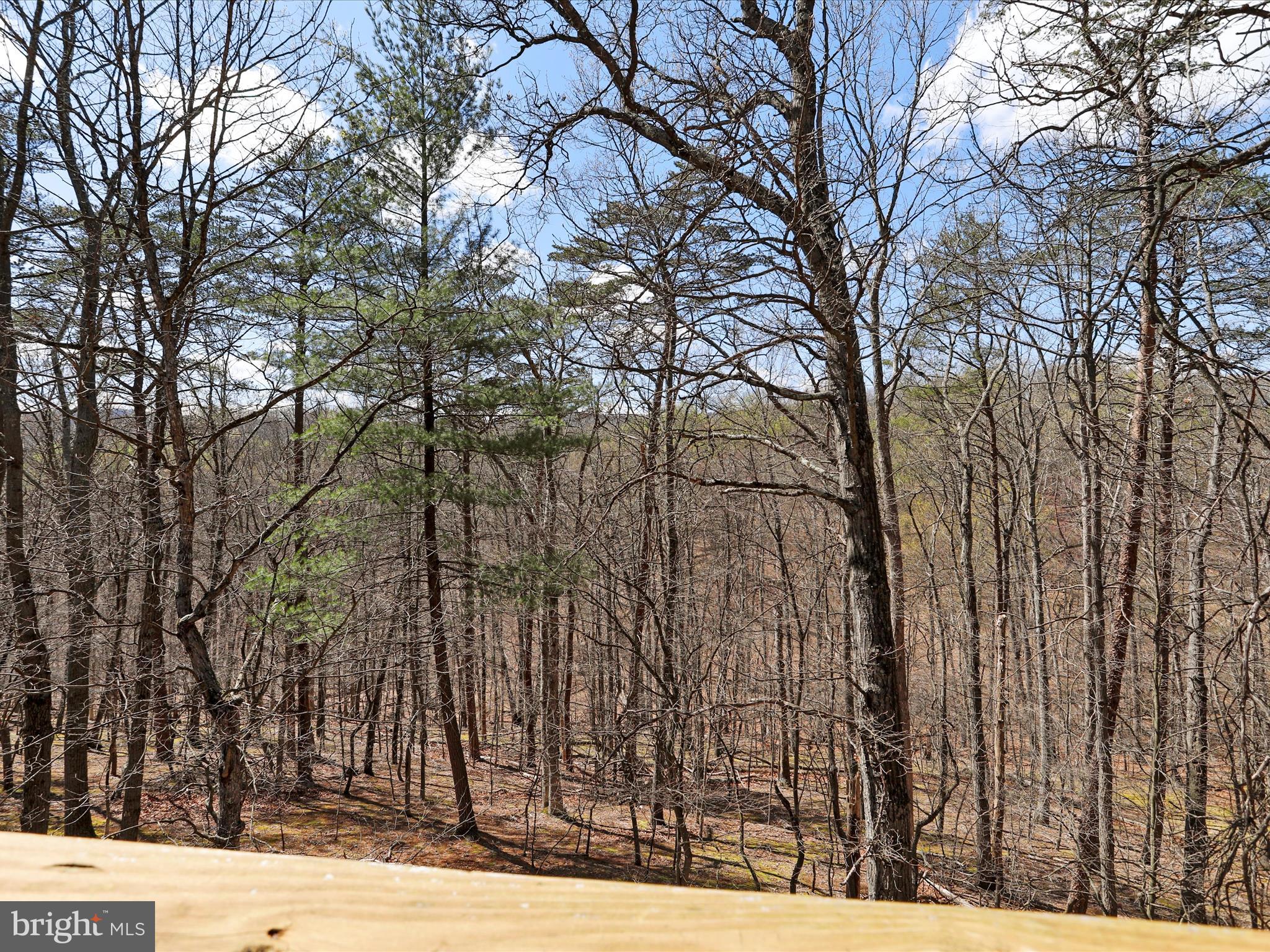 THE WOODS - Residential