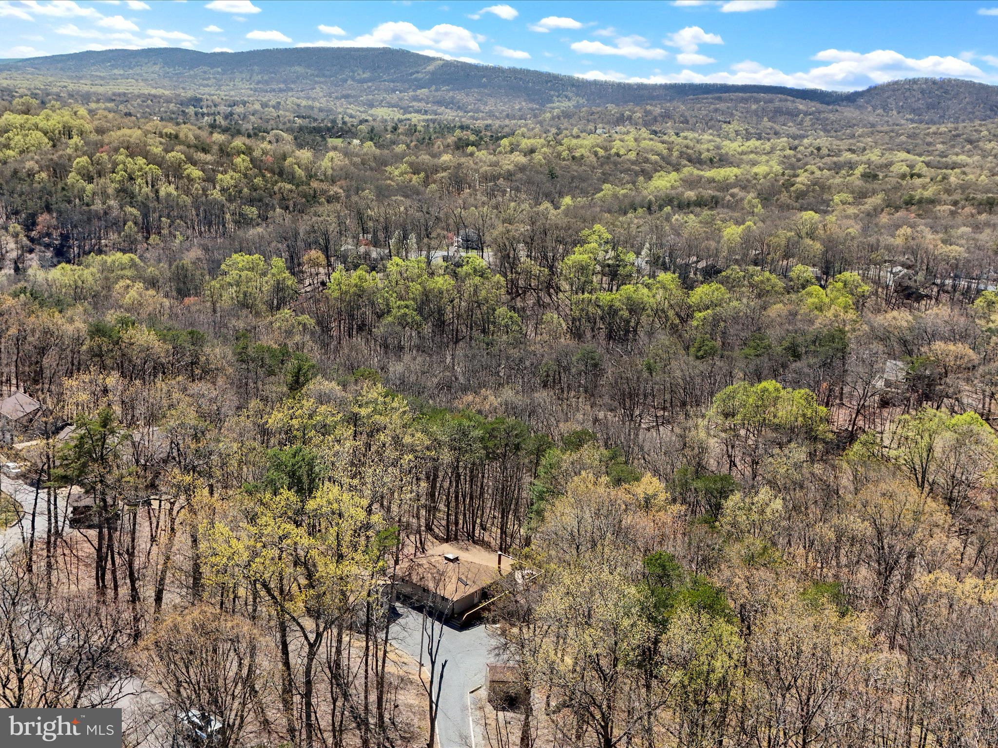 THE WOODS - Residential