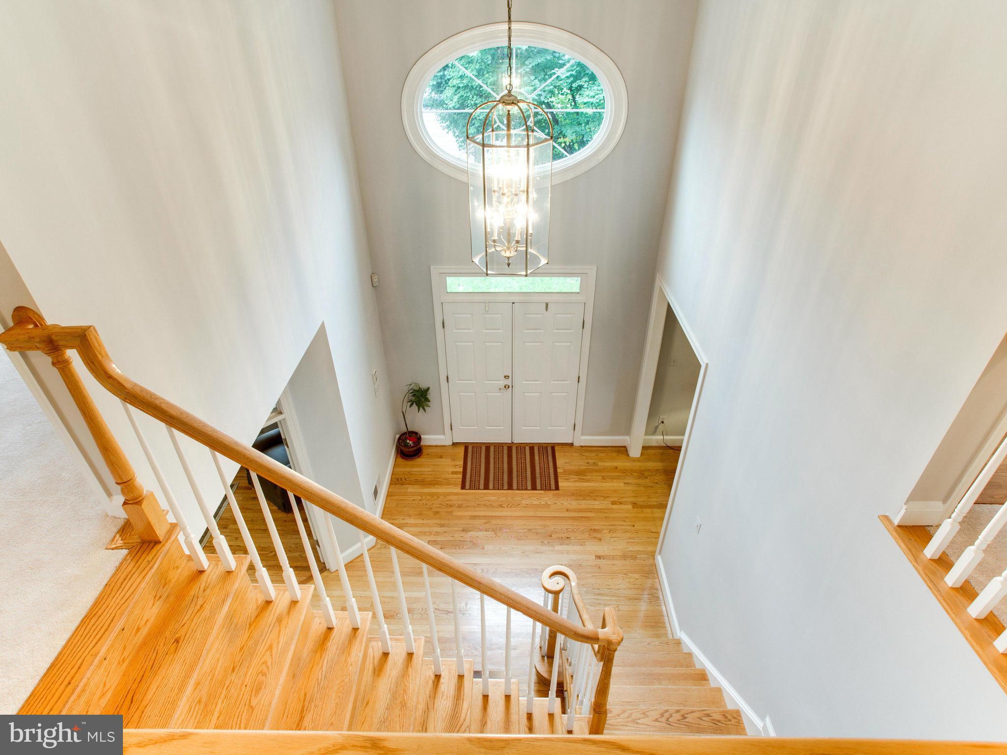 VIRGINIA CHASE - Residential