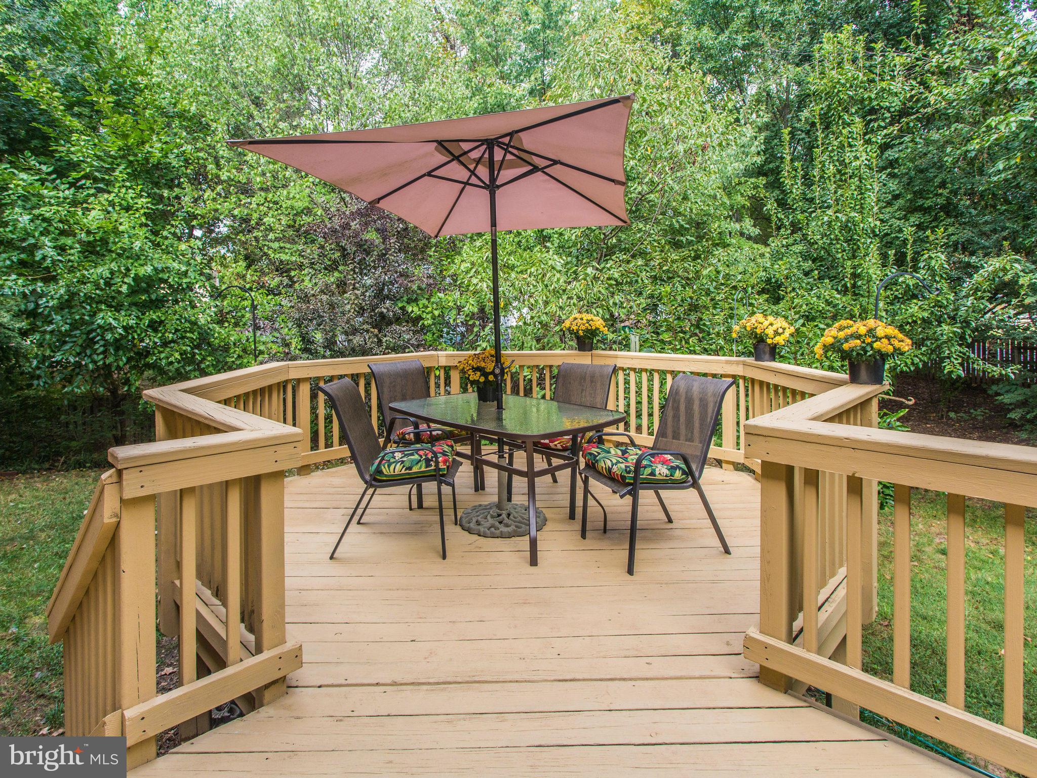 VIRGINIA CHASE - Residential