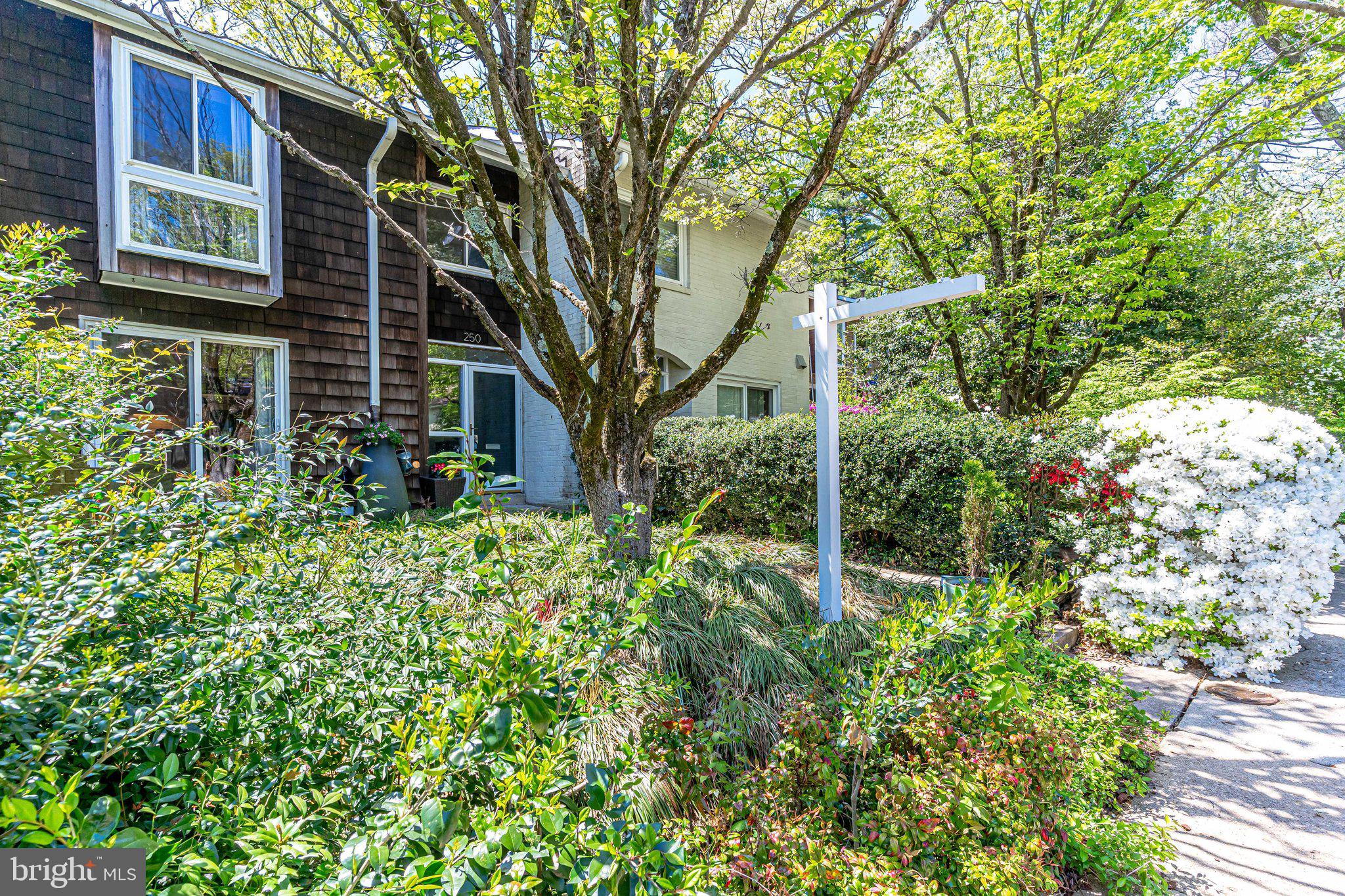 NEW MARK COMMONS - Residential