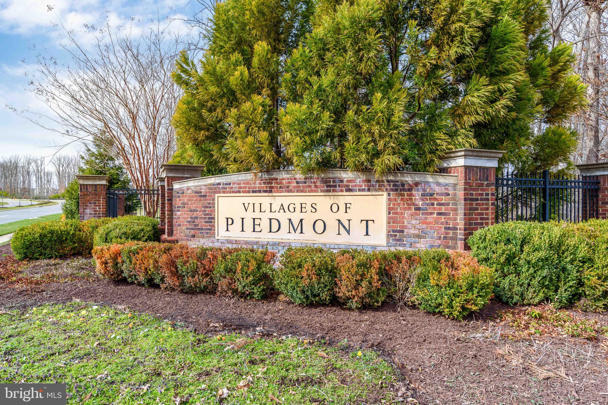 VILLAGES OF PIEDMONT AT LEOPOLD'S PRESERVE - Residential