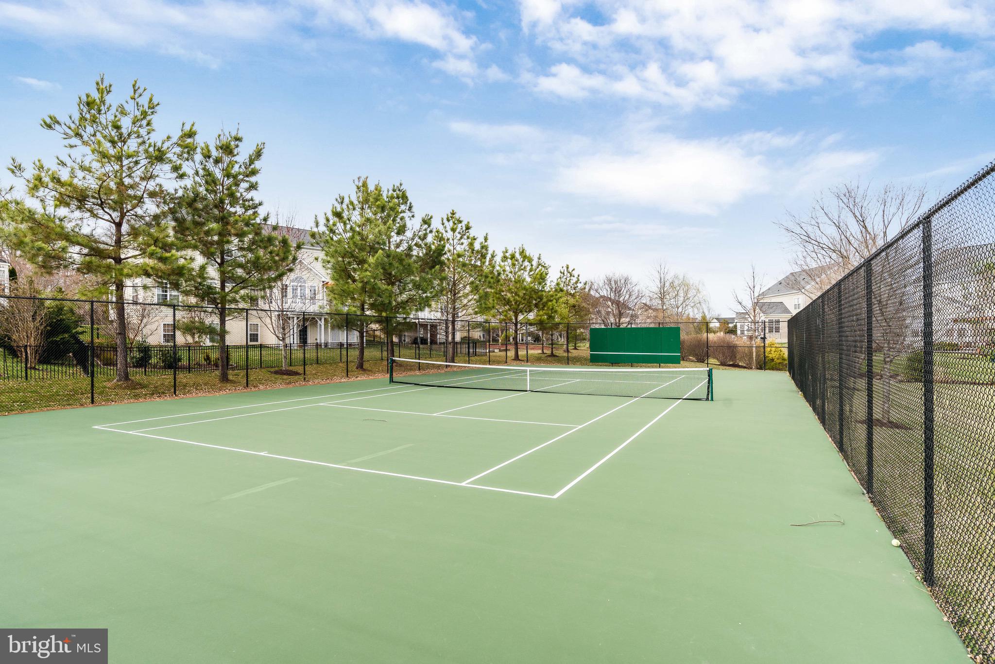 VILLAGES OF PIEDMONT AT LEOPOLD'S PRESERVE - Residential