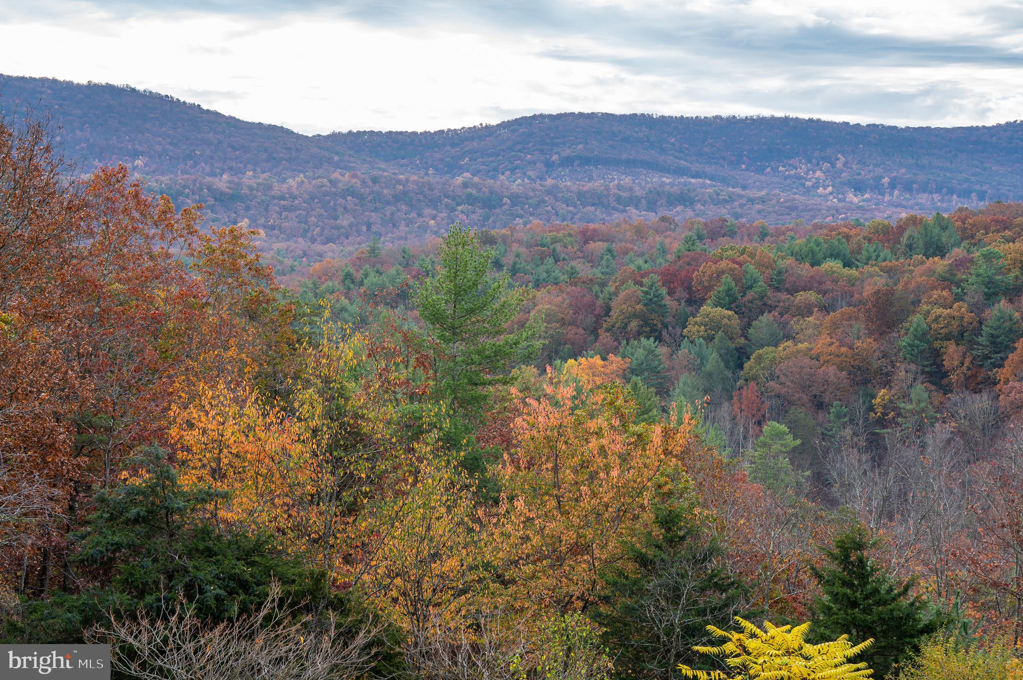 MIDDLE RIDGE ESTATES - Residential