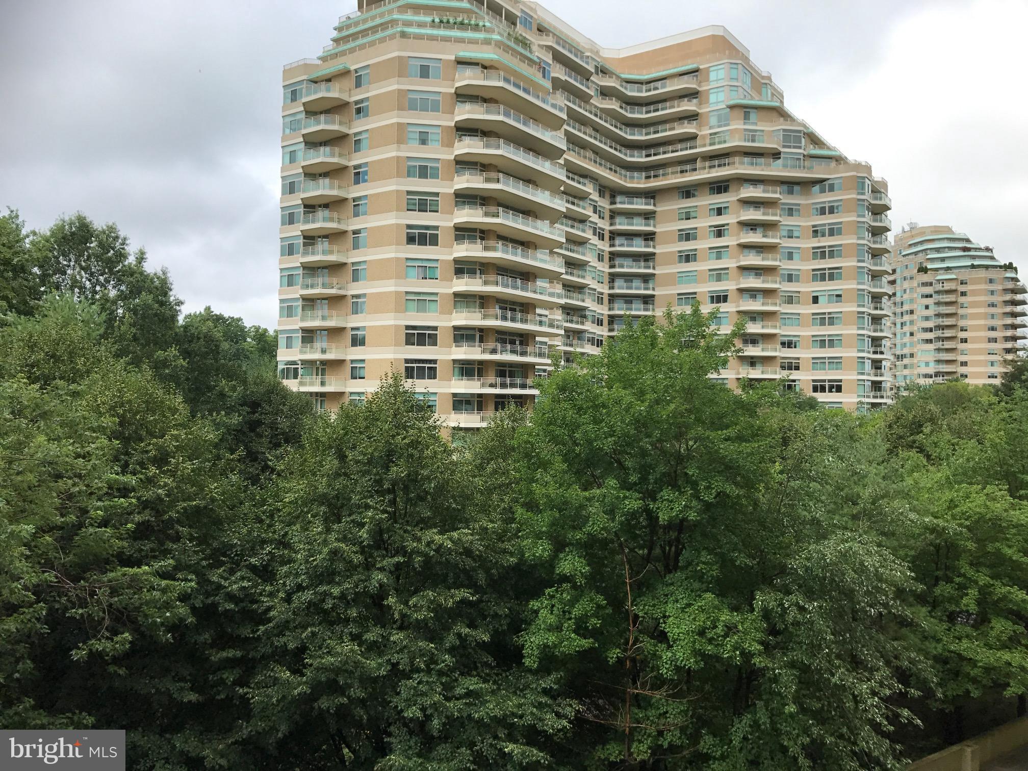 THE ELIZABETH - Residential Lease