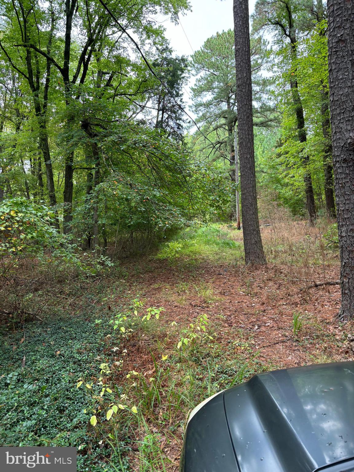 21748 CABIN LANE