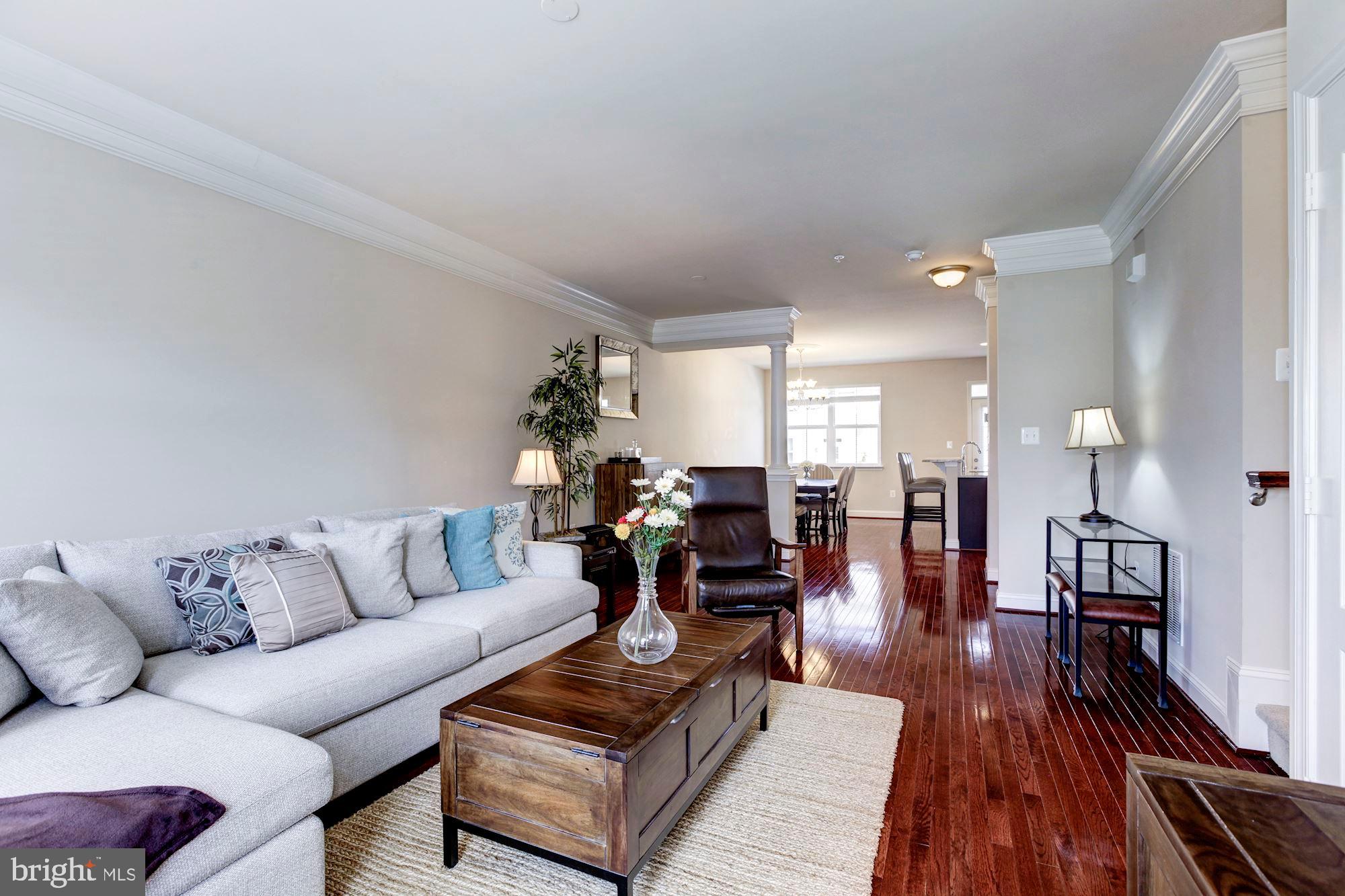 CLARKSBURG VILLAGE - Residential