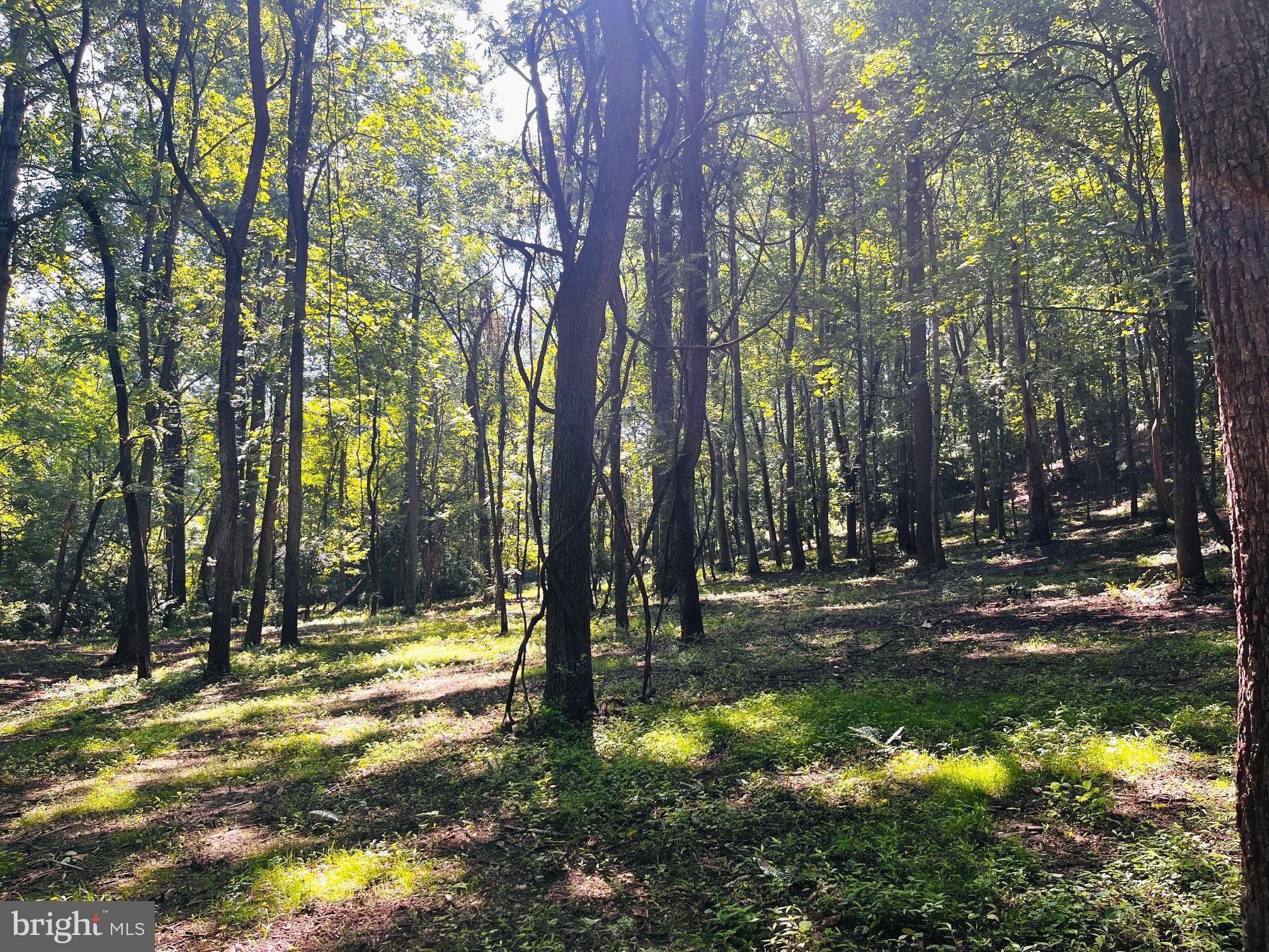 GLENCOE OAKS - Residential