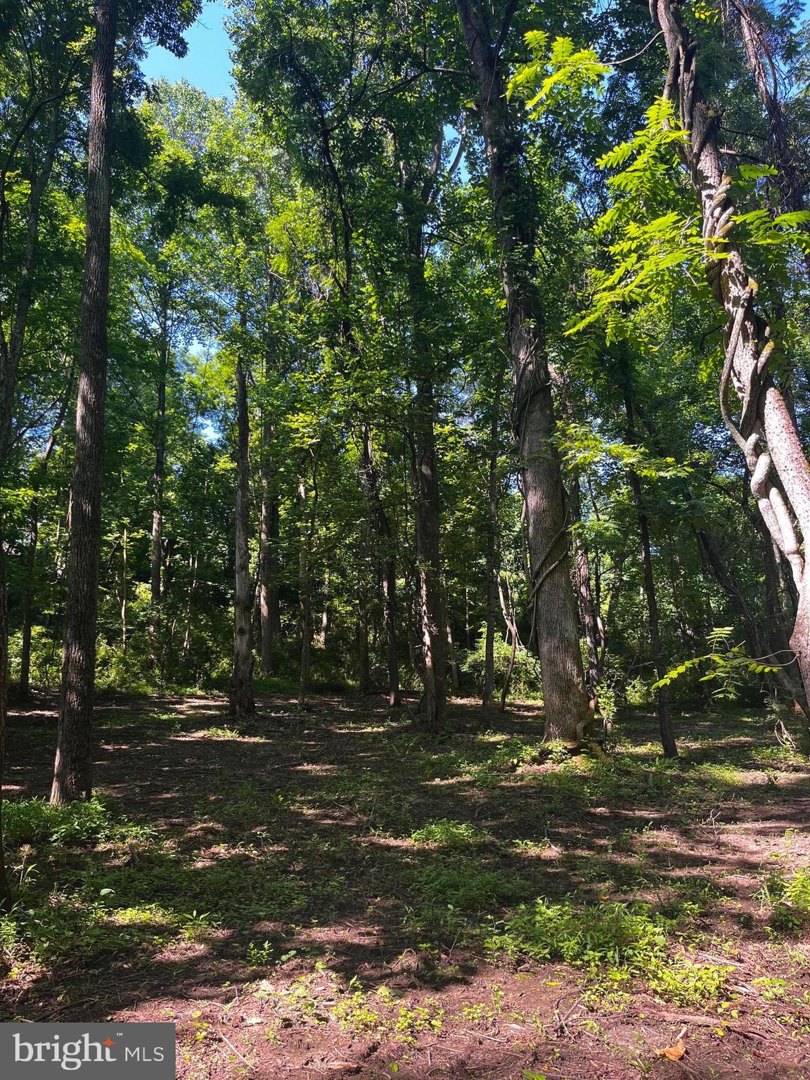 GLENCOE OAKS - Residential