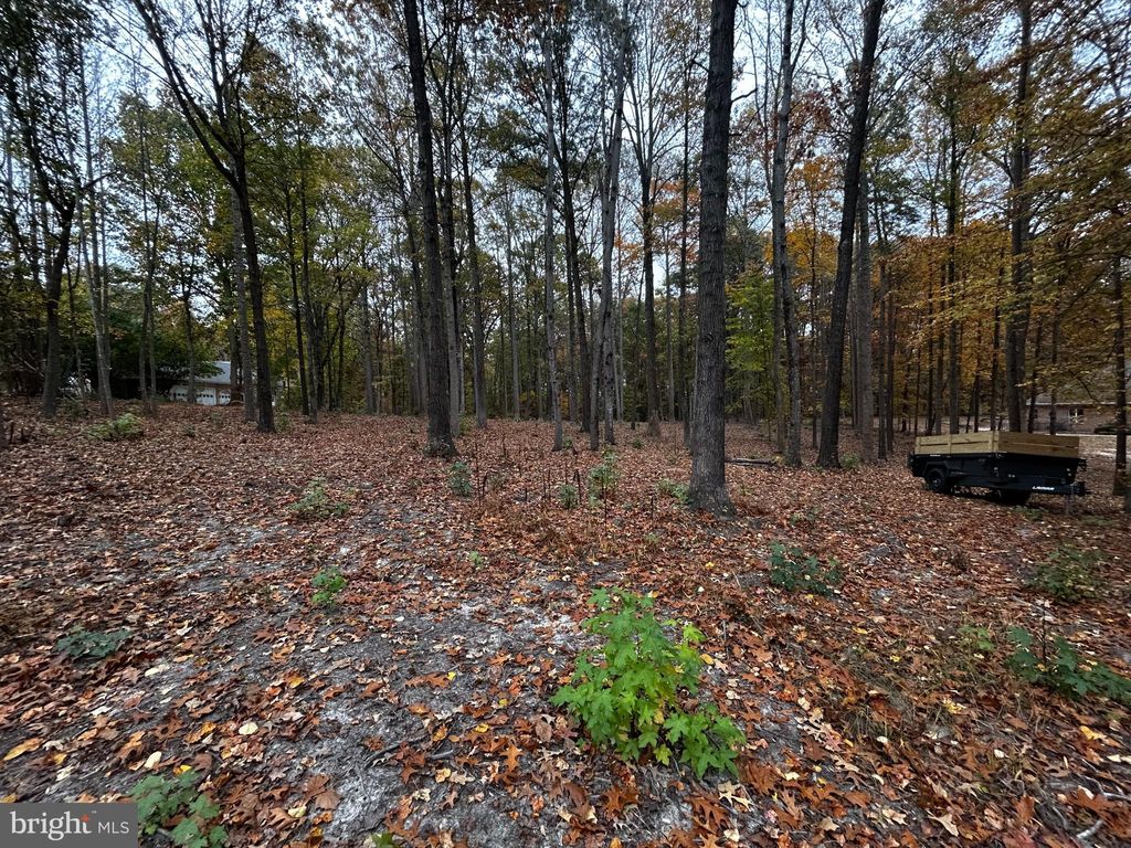 Photo of 50 Piper Place, FREDERICKSBURG, VA 22405 (MLS # VAST2043952)