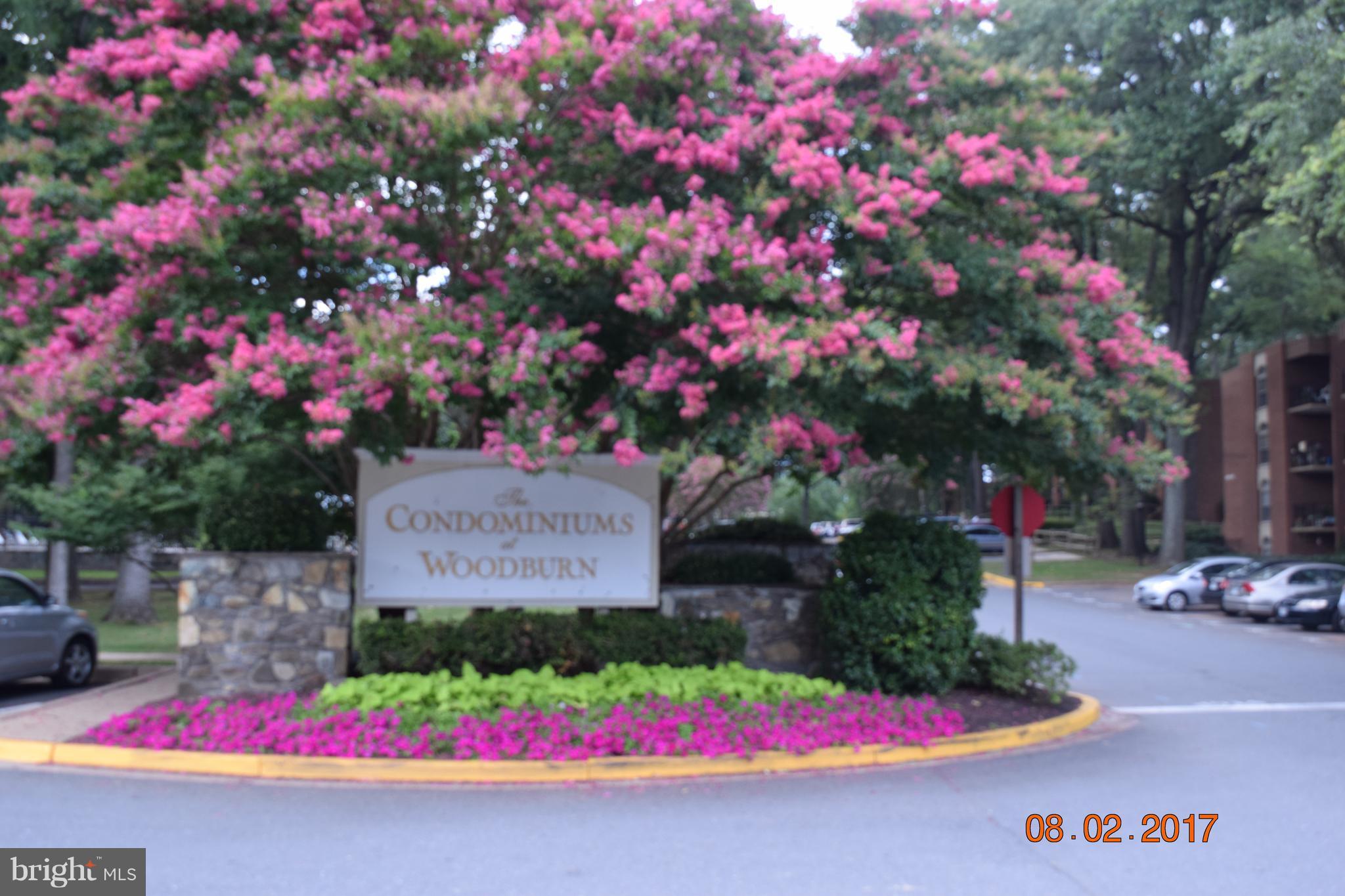 WOODBURN VILLAGE - Residential