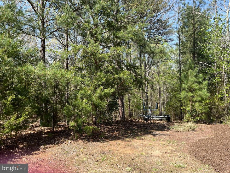 Wooded lot available for sale in the highly sought-after community of Cats Paw. This lot is centrally located on the lake, in close proximity to various amenities including Food Lion, wineries, restaurants, cideries, and breweries. Additionally, the lot comes with a covered boat slip with a boat lift in the community common area. Don't miss out on this amazing opportunity to own a beautiful lot in a desirable location!
