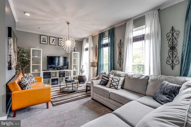 TOWN CENTER AT CAMP SPRINGS - Residential