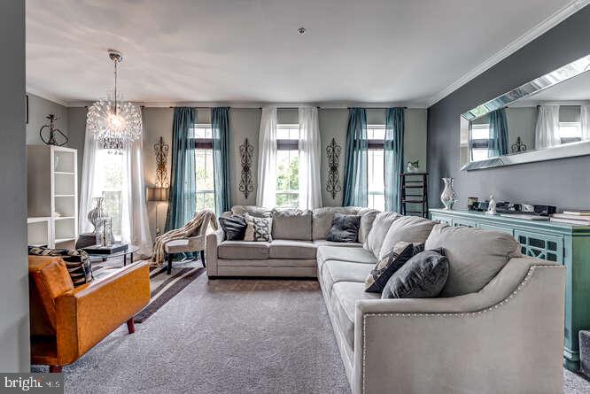 TOWN CENTER AT CAMP SPRINGS - Residential