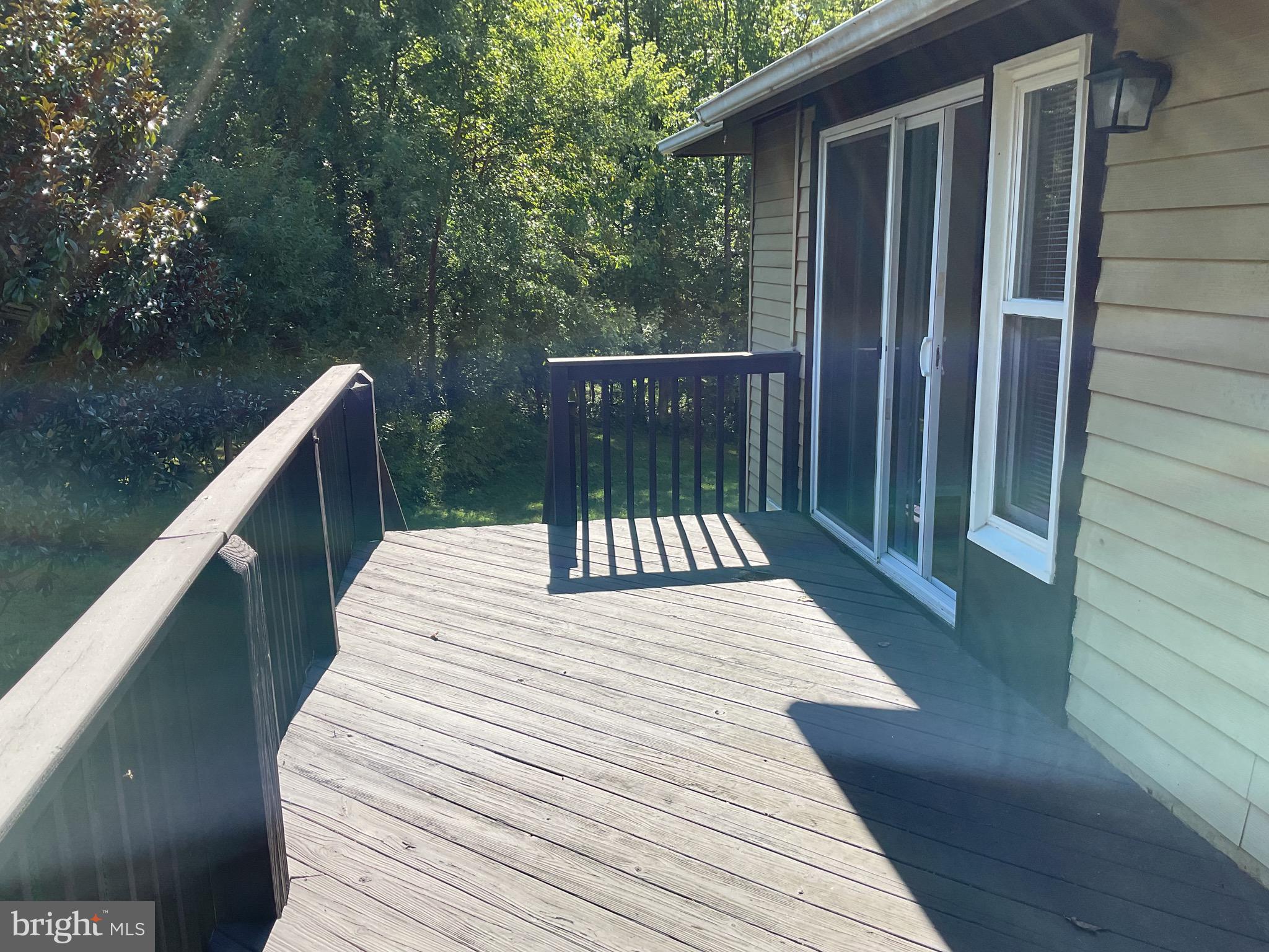 SPRINGFIELD - Residential Lease