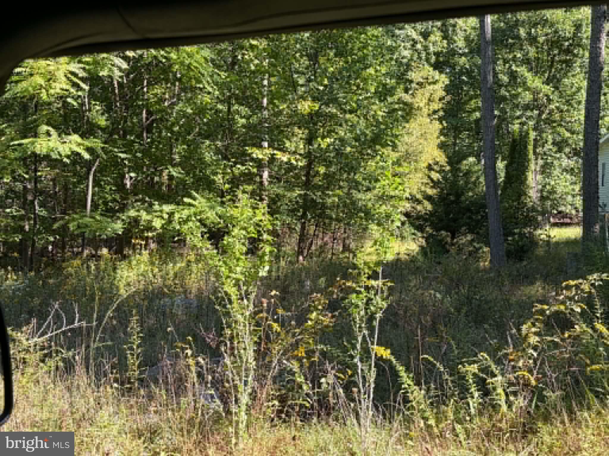 669 CAPON WOODS RESORT ROAD LOT 19