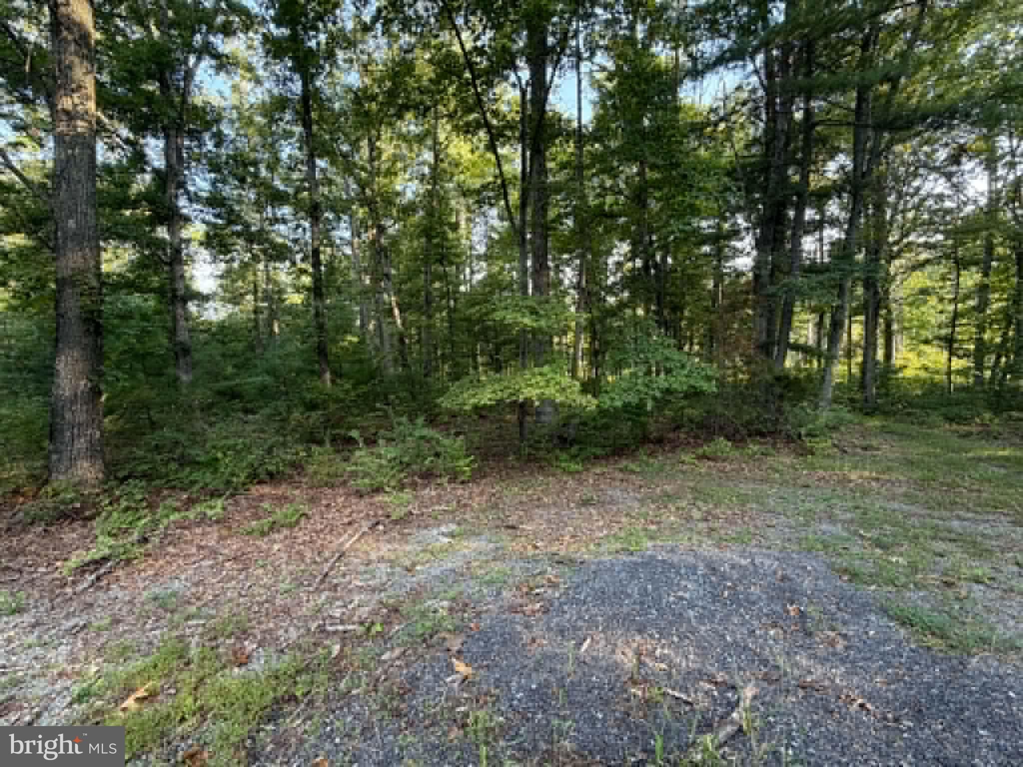 669 CAPON WOODS RESORT ROAD LOT 19