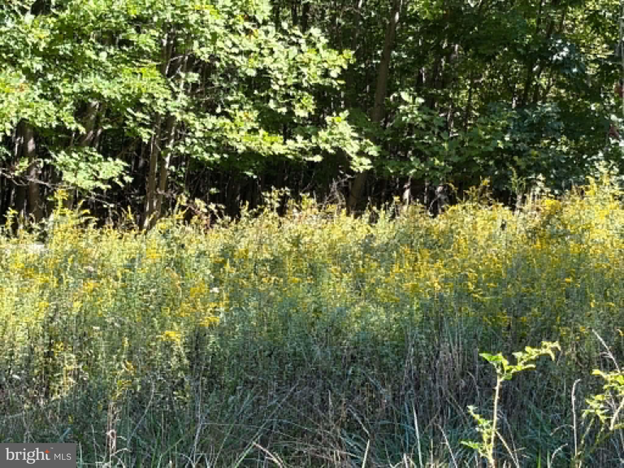 669 CAPON WOODS RESORT ROAD LOT 19