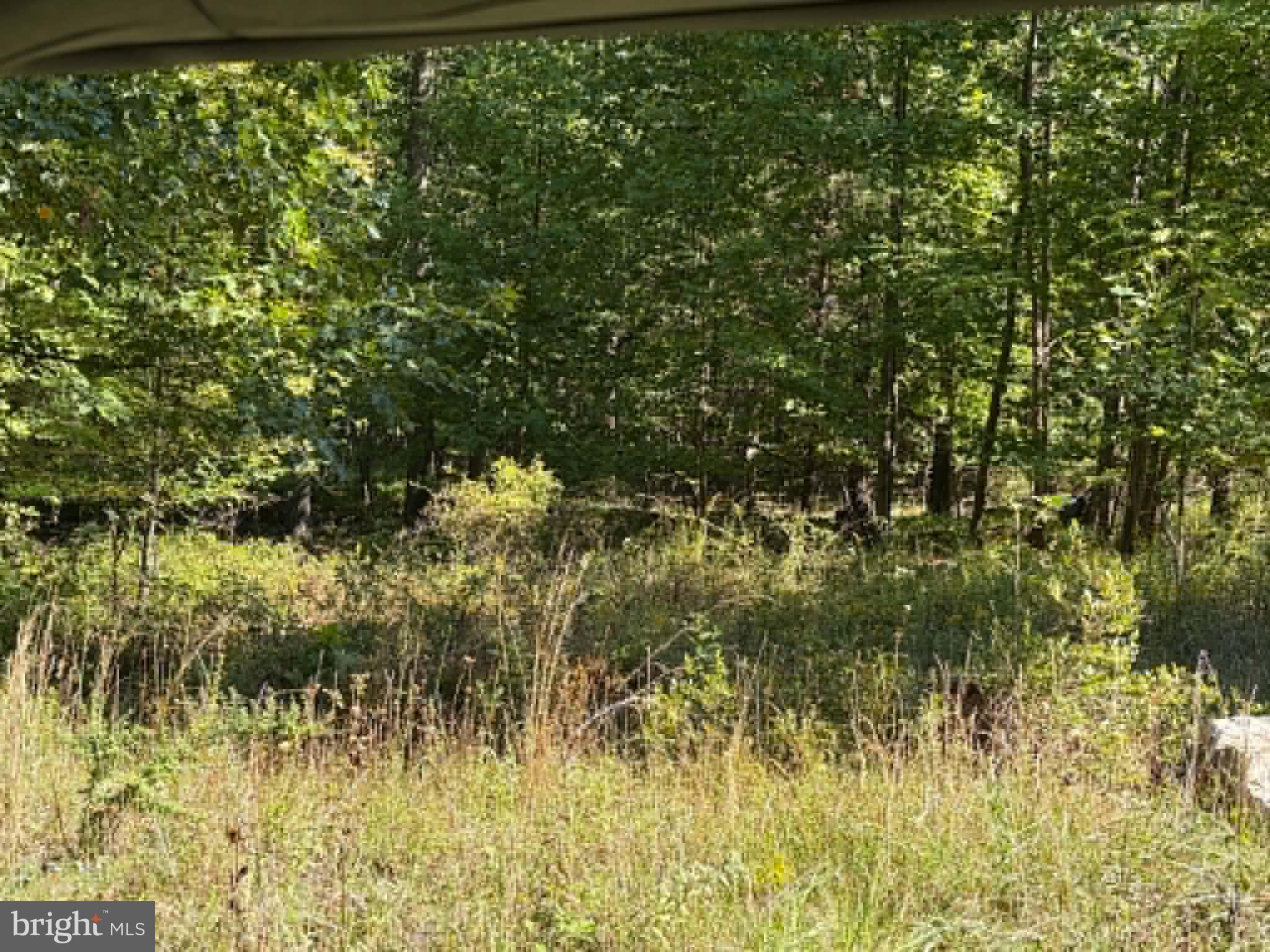 669 CAPON WOODS RESORT ROAD LOT 19