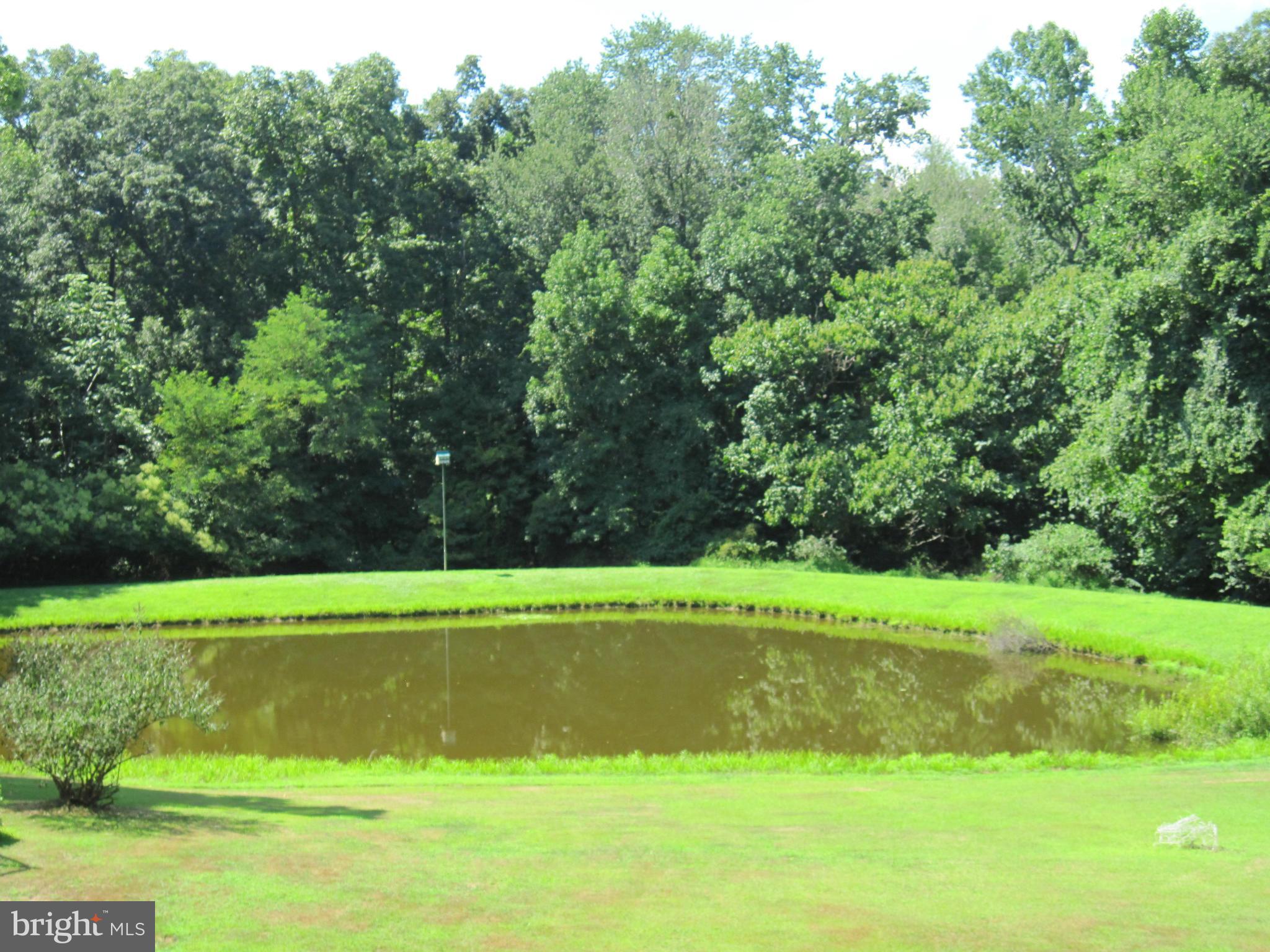 HAZELMOOR - Residential