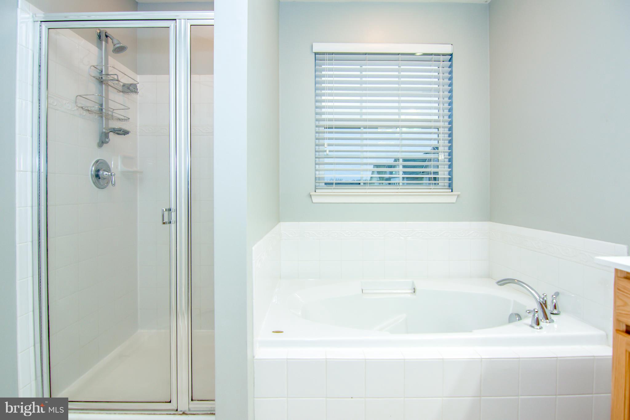 BELMONT STATION - Residential