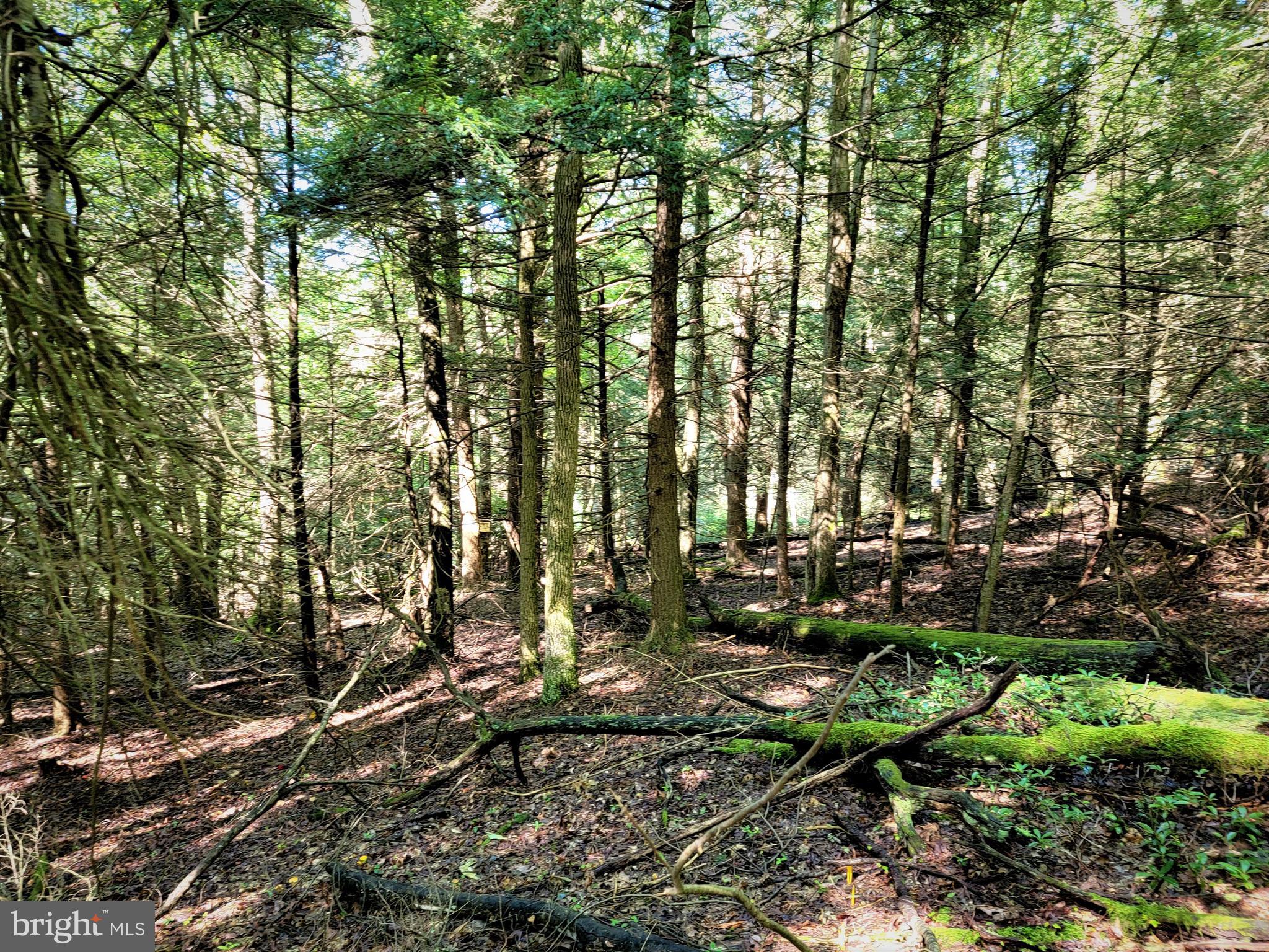 HEMLOCK ACRES I - Land