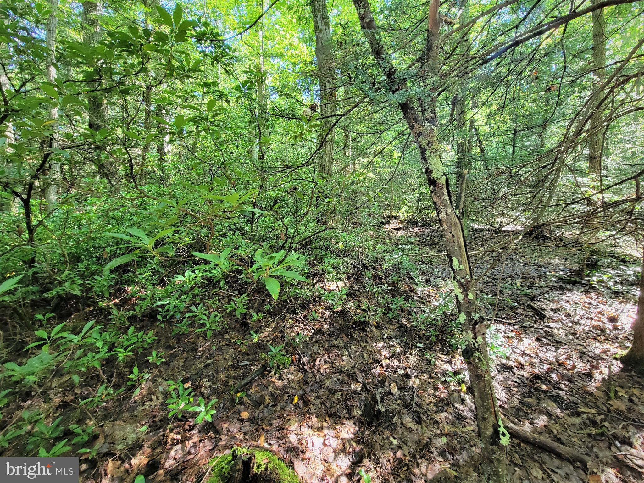 HEMLOCK ACRES I - Land