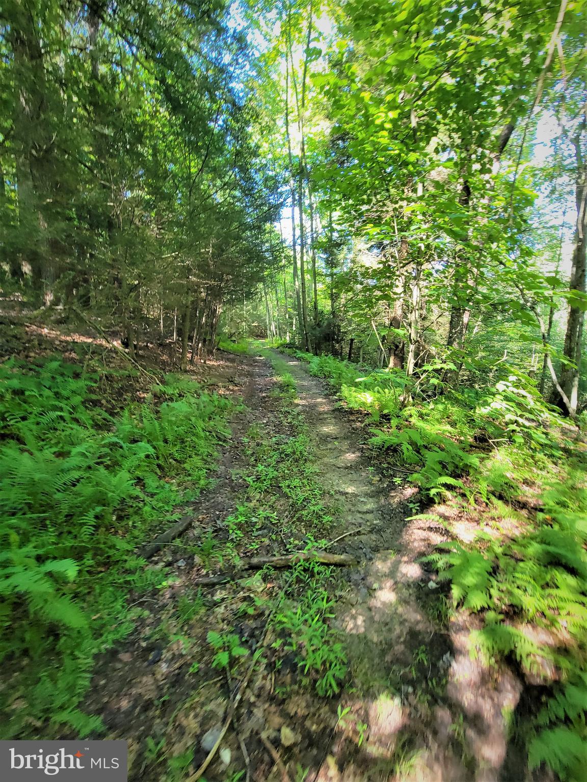 HEMLOCK ACRES I - Land