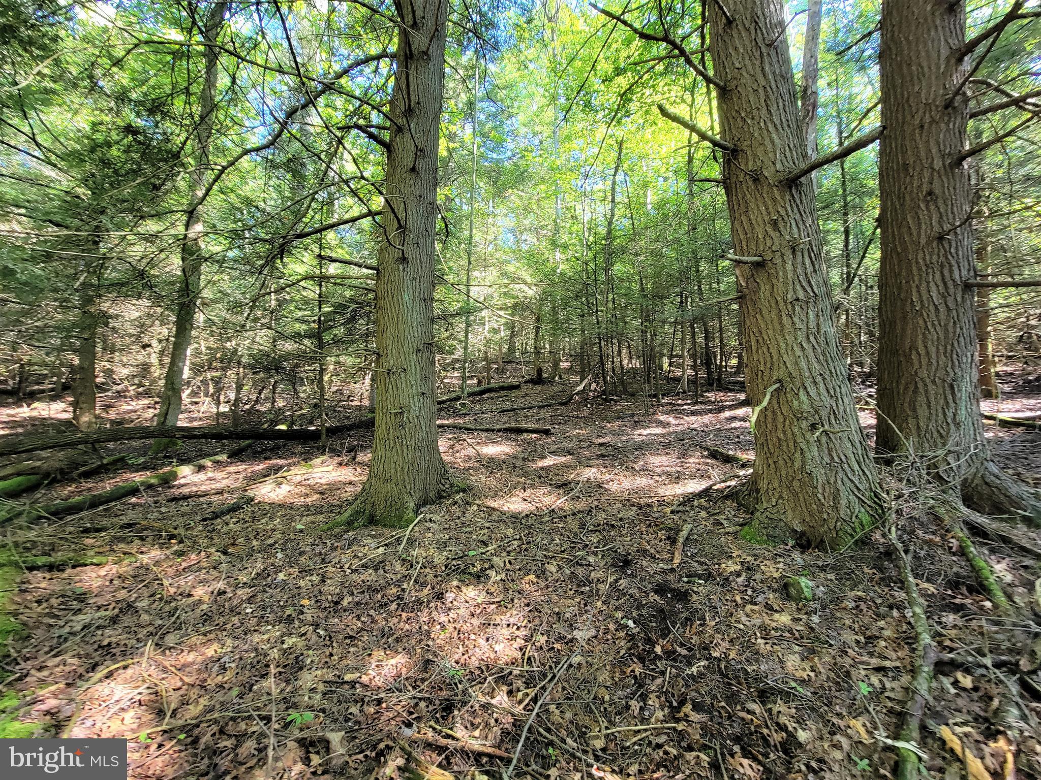 HEMLOCK ACRES I - Land