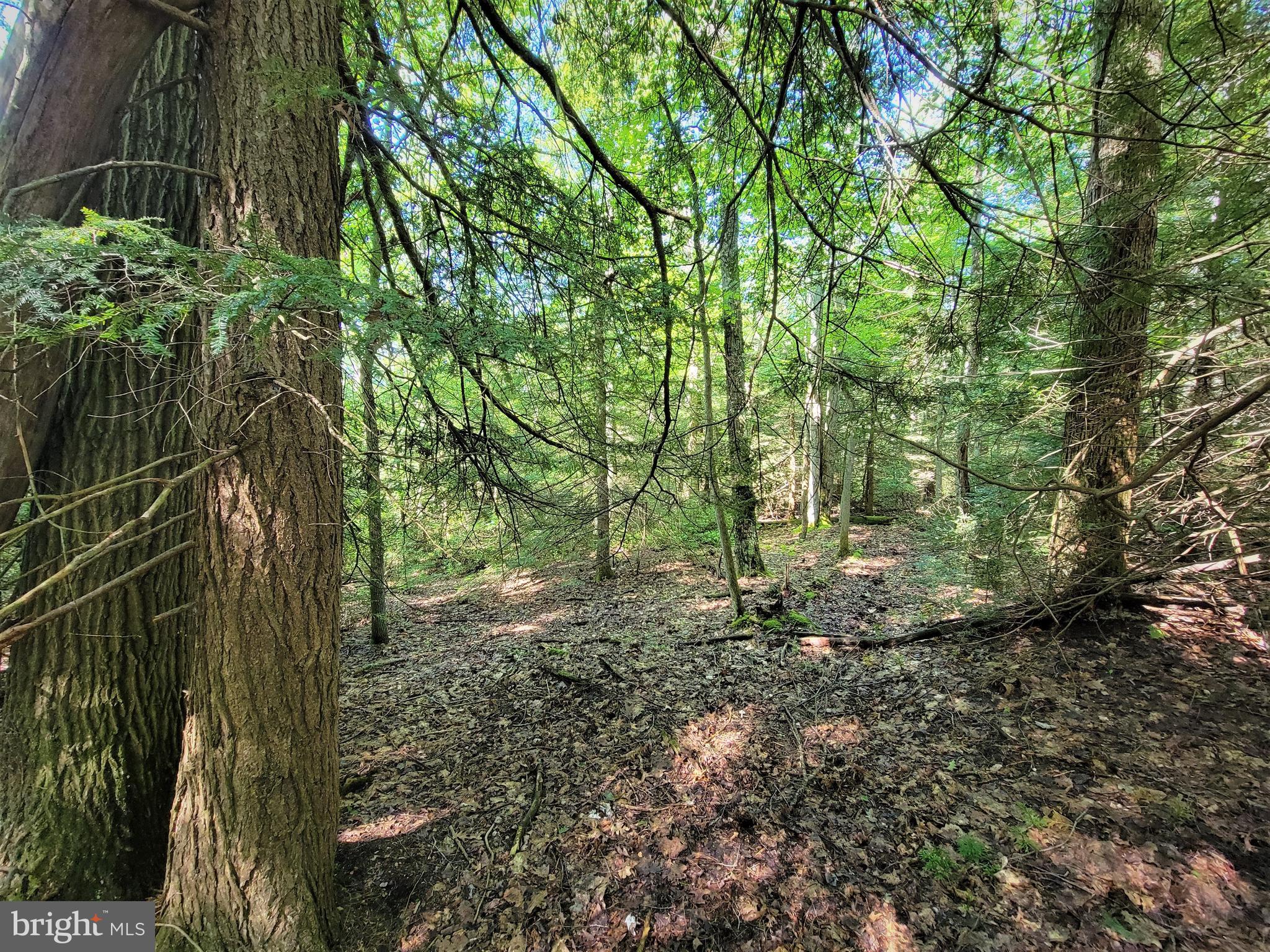 HEMLOCK ACRES I - Land