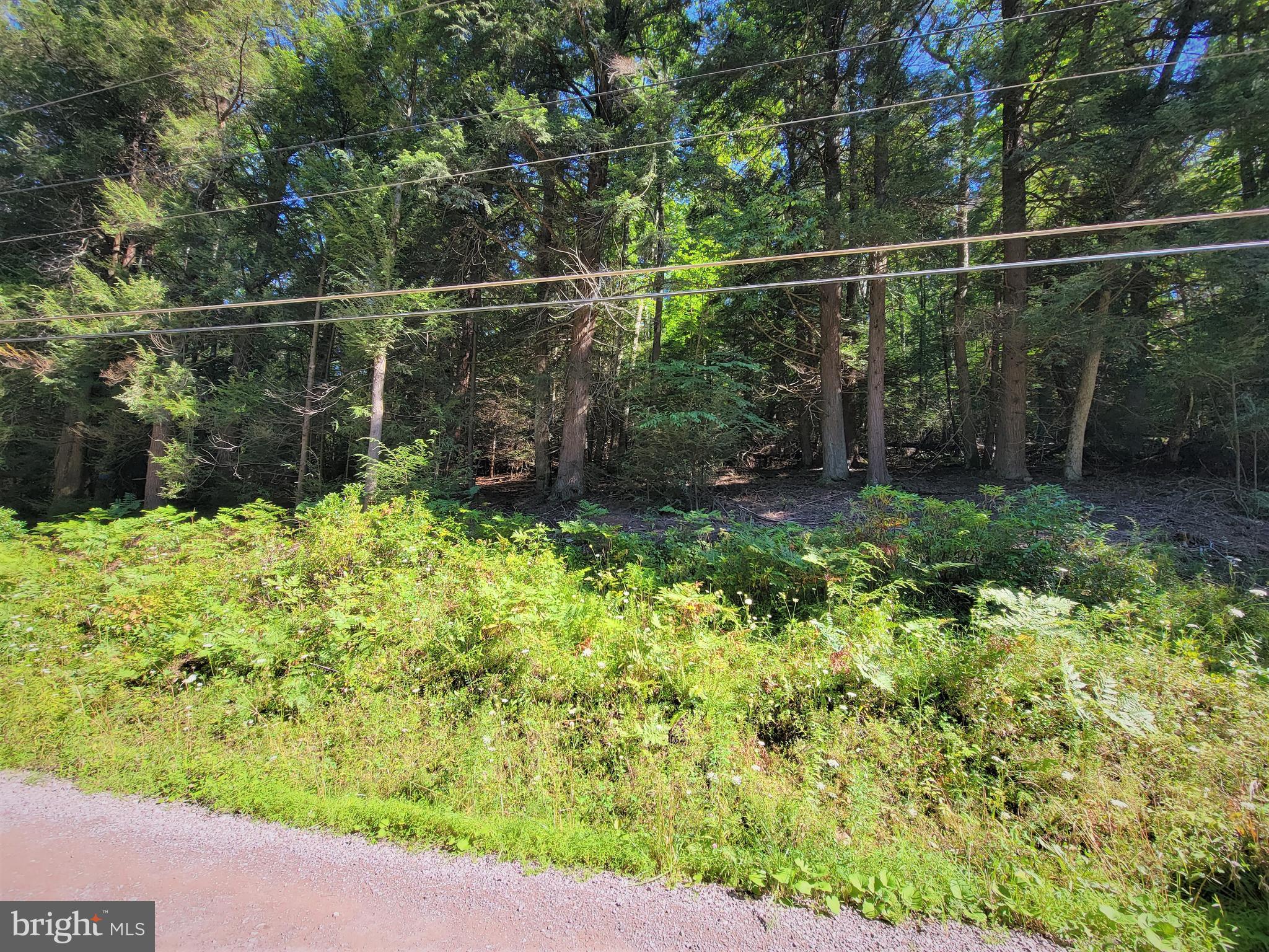 HEMLOCK ACRES I - Land