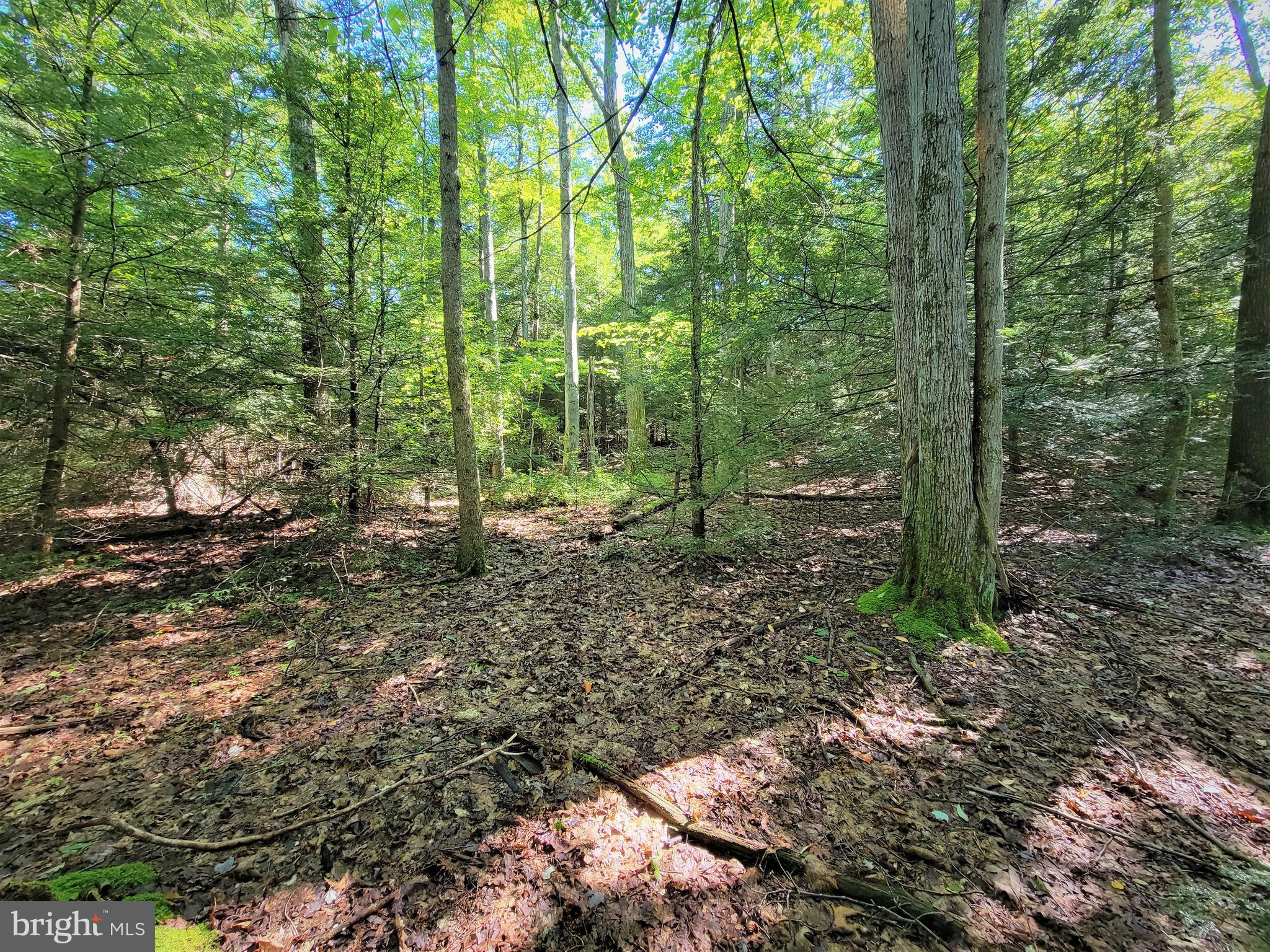 HEMLOCK ACRES I - Land