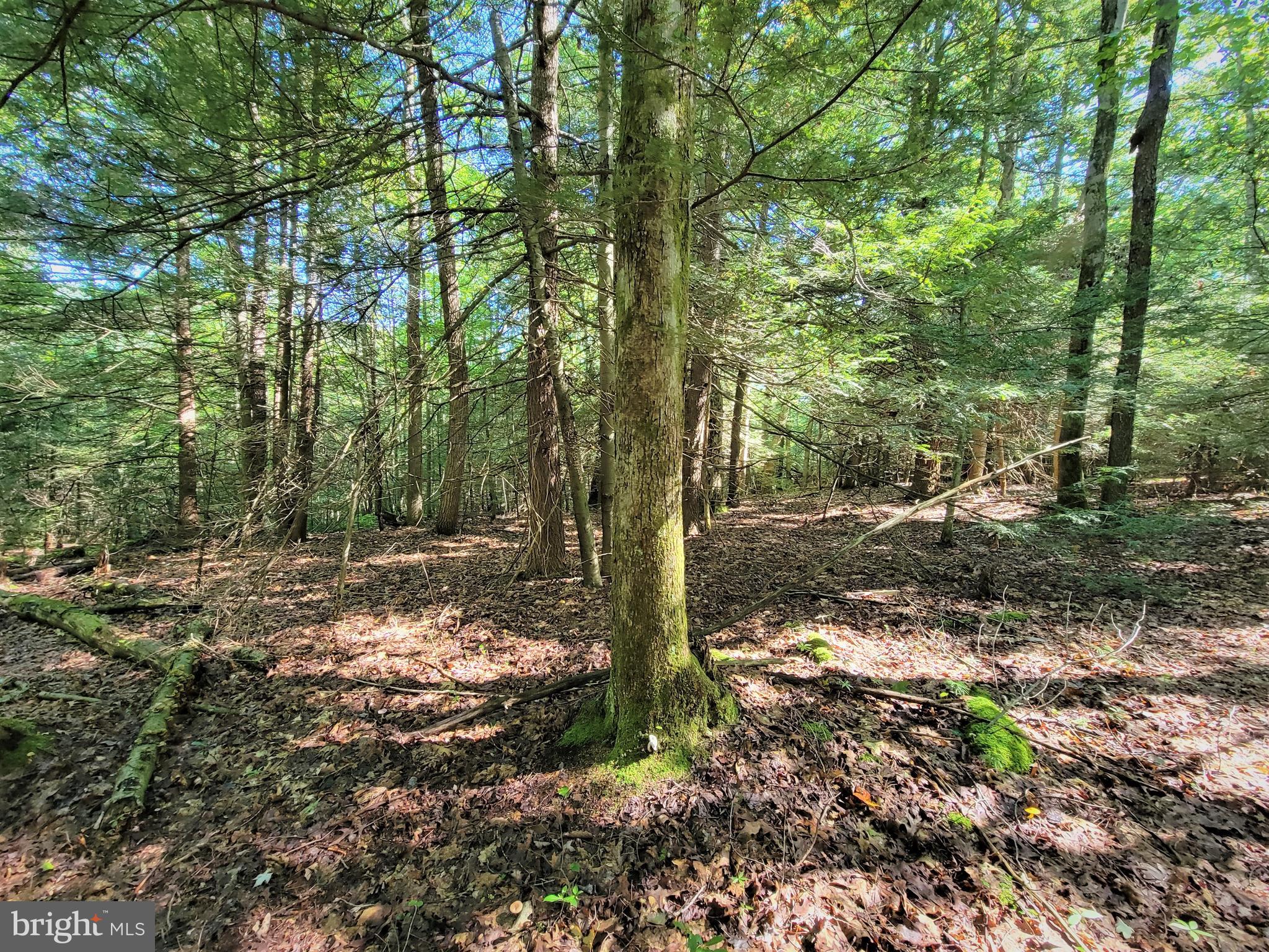 HEMLOCK ACRES I - Land