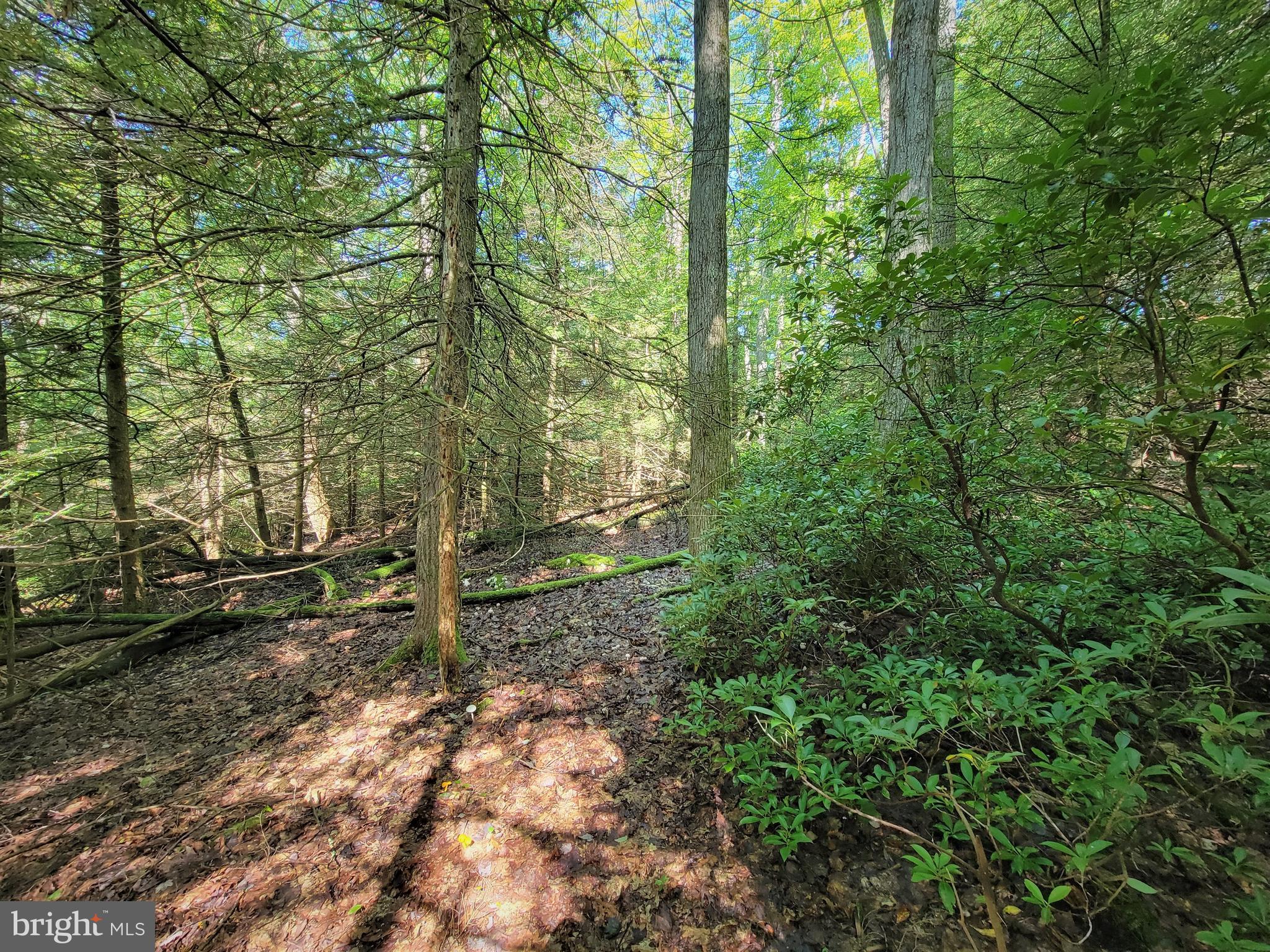 HEMLOCK ACRES I - Land