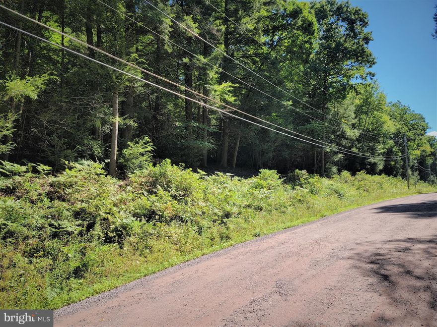 3.34 acres of totally wooded, undeveloped land located in beautiful and quiet Hemlock Acres!  Conveniently situated between Deep Creek Lake and Youghiogheny River Lake.   Take advantage of this opportunity to see how this lot fits into your visions and dreams!