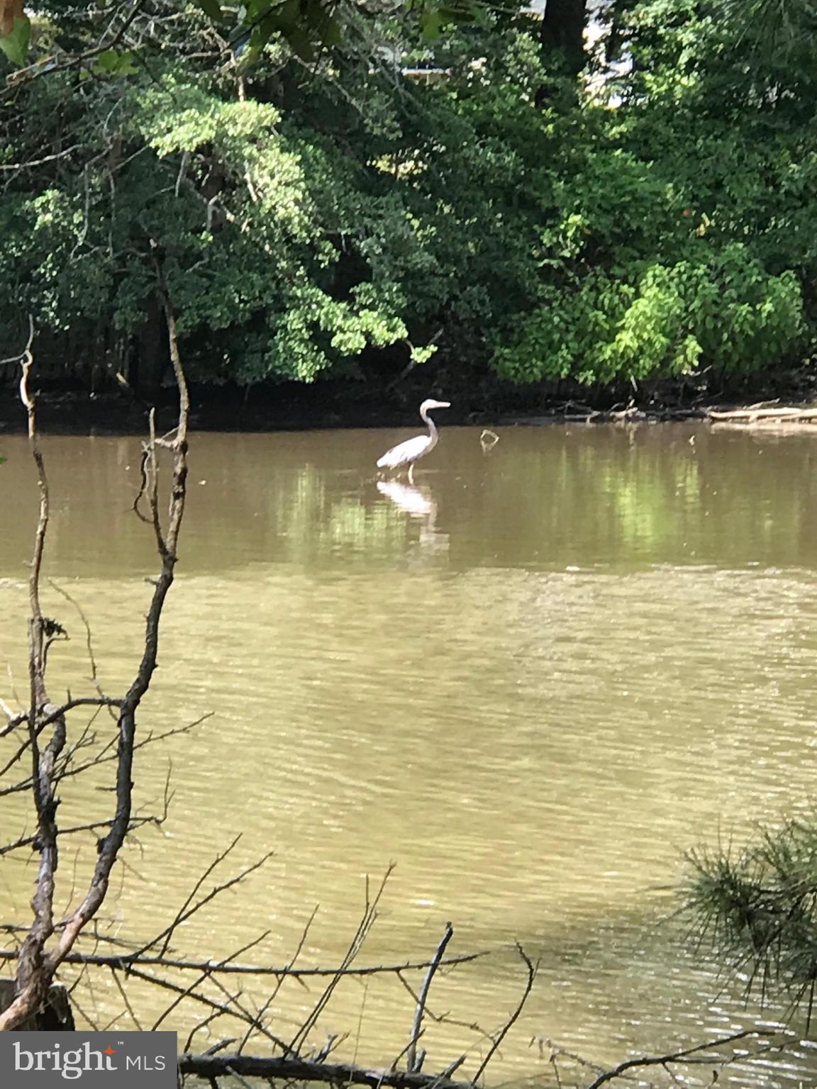 ROSEBANK - Residential