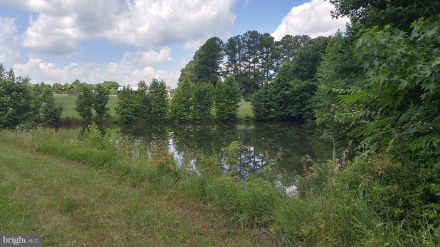 Looking for you own pond? Check out this gorgeous piece of property in the country! Pasture & large surrounding properties, right outside the quaint town of Rhoadesville! Cleared areas around the pond with gently rolling hills, then mixed trees on the remaining land. Have plat/survey & soil docs-perked for 3  bedroom Conventional drain field. Commute to Charlottesville, FXBG/Stafford or Culpeper.
